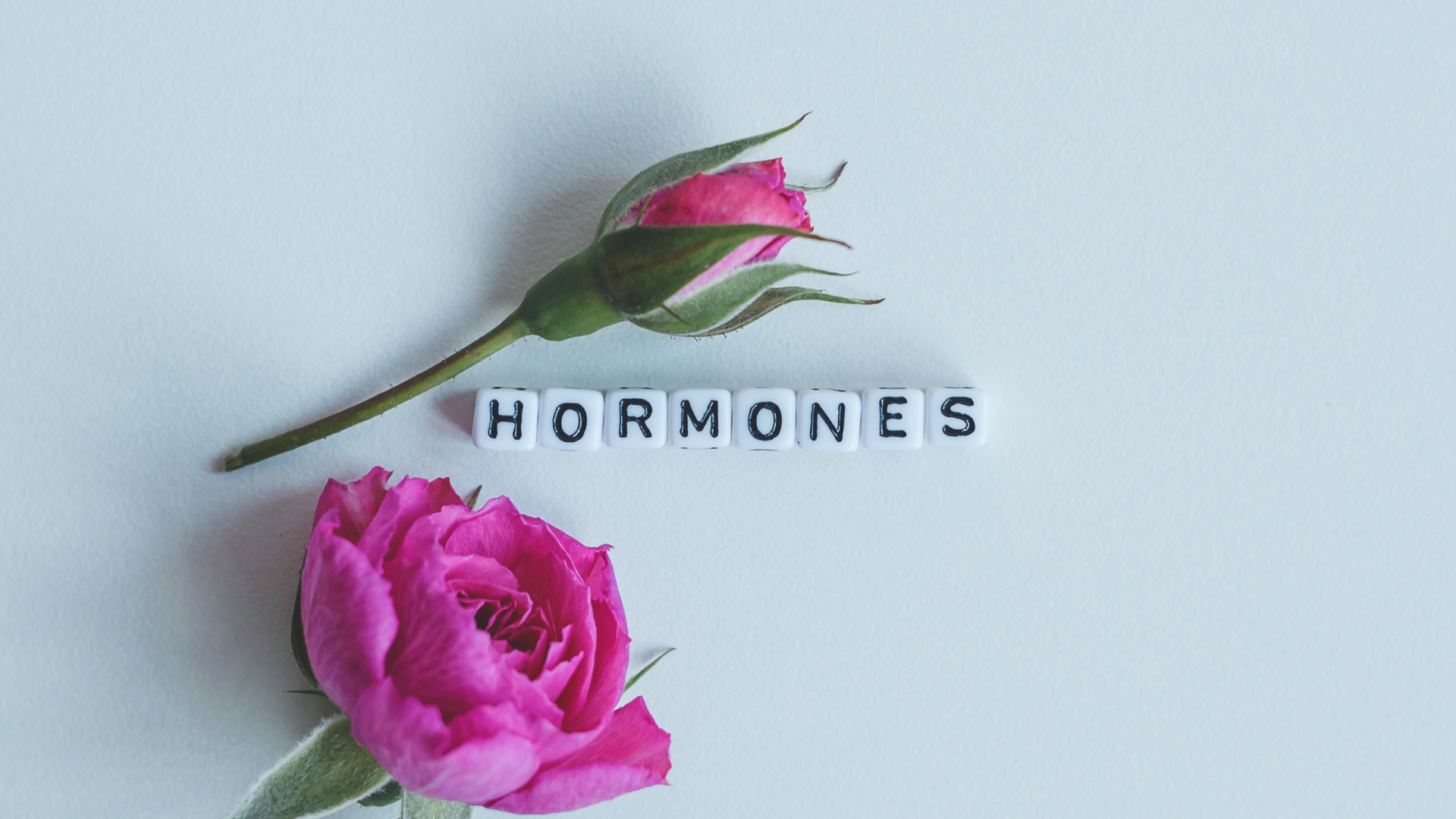 Top 12 Steps to Support Women's Hormone Health