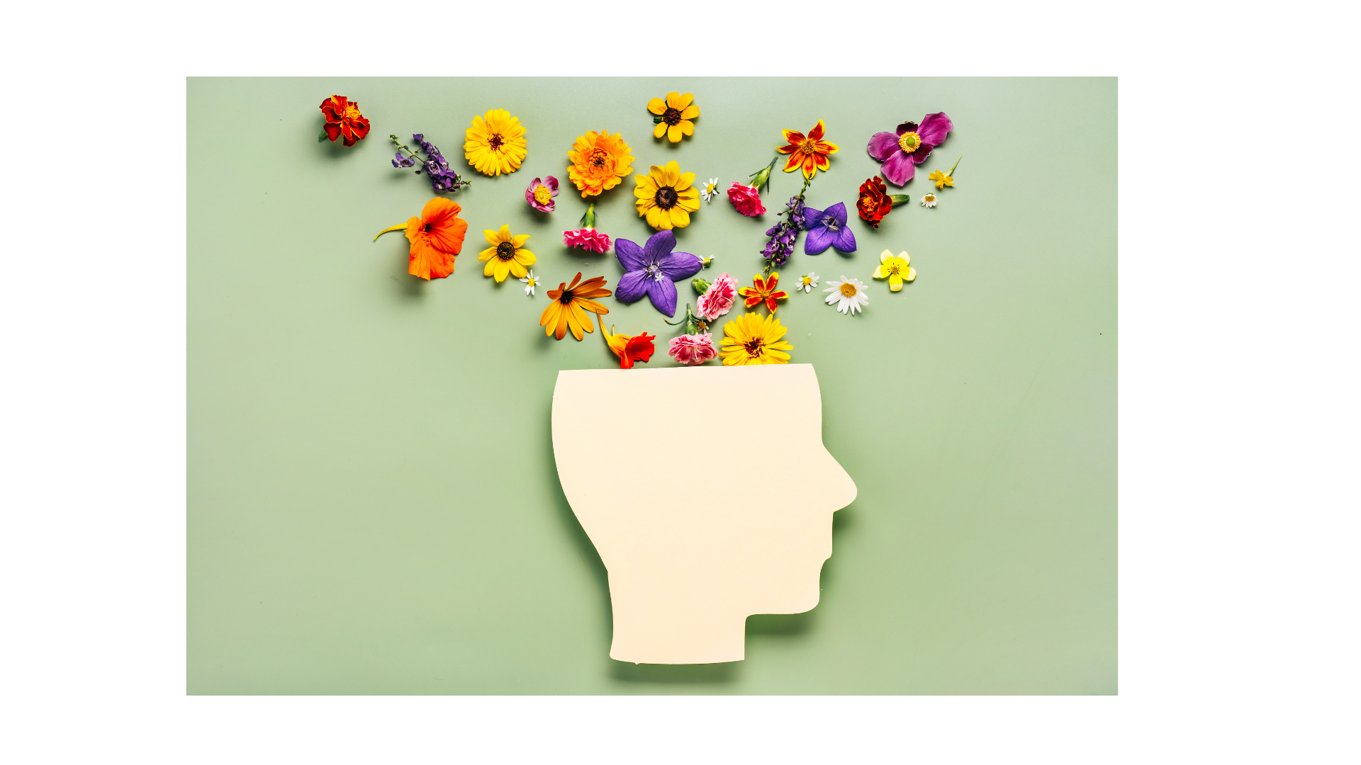Profile silhouette of a human head with colourful flowers and shapes emerging from the mind.
