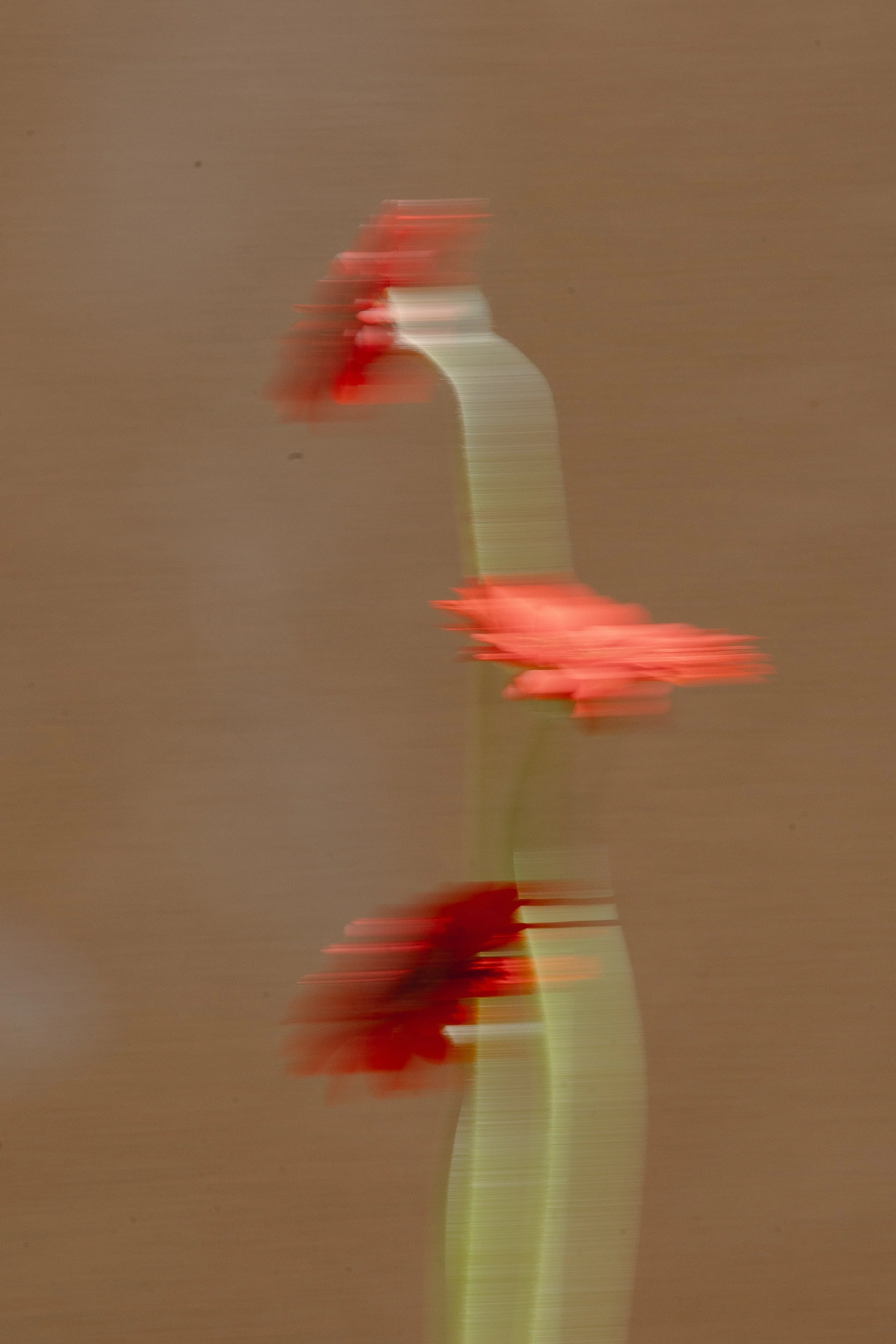 8O8A7709.jpg