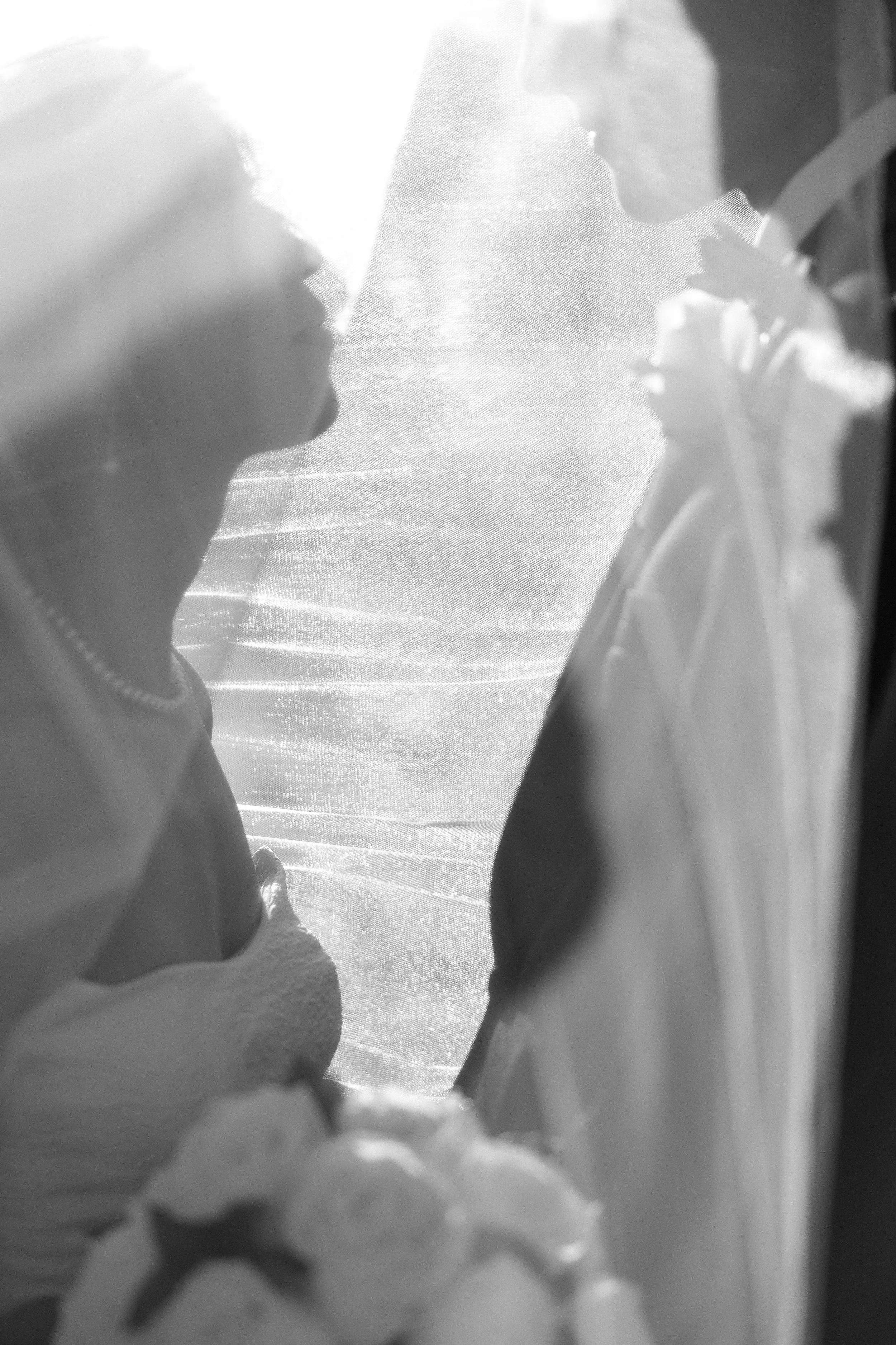 A woman appears to be blowing out candles on a birthday cake, seen through a semi-transparent curtain with bright backlighting creating a silhouette effect.