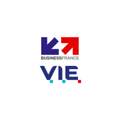 Business France VIE