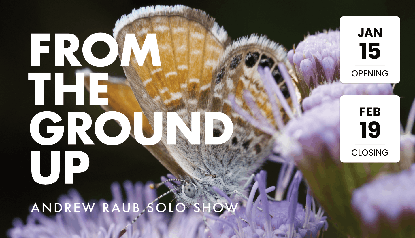 From the Ground Up - Andrew Raub Solo Show - Opening Night