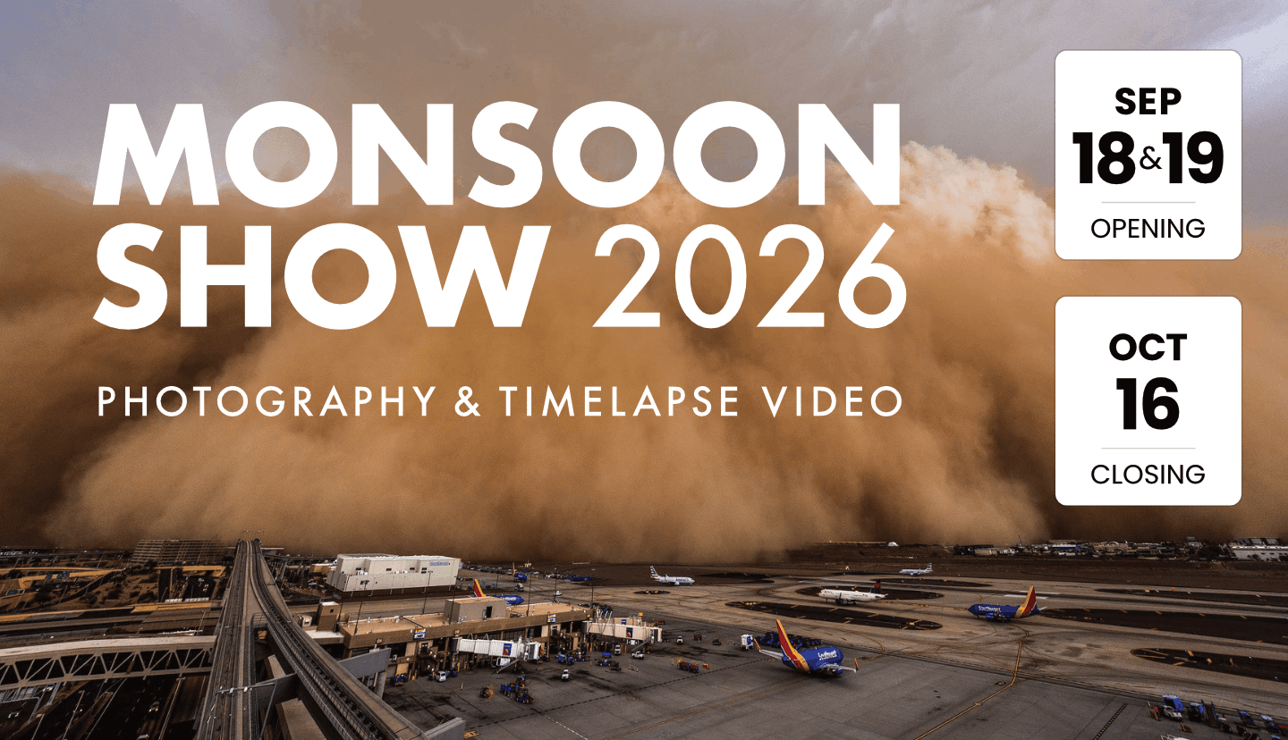MONSOON SHOW 2026: Annual Exhibit at BRILL Gallery &amp; Studio