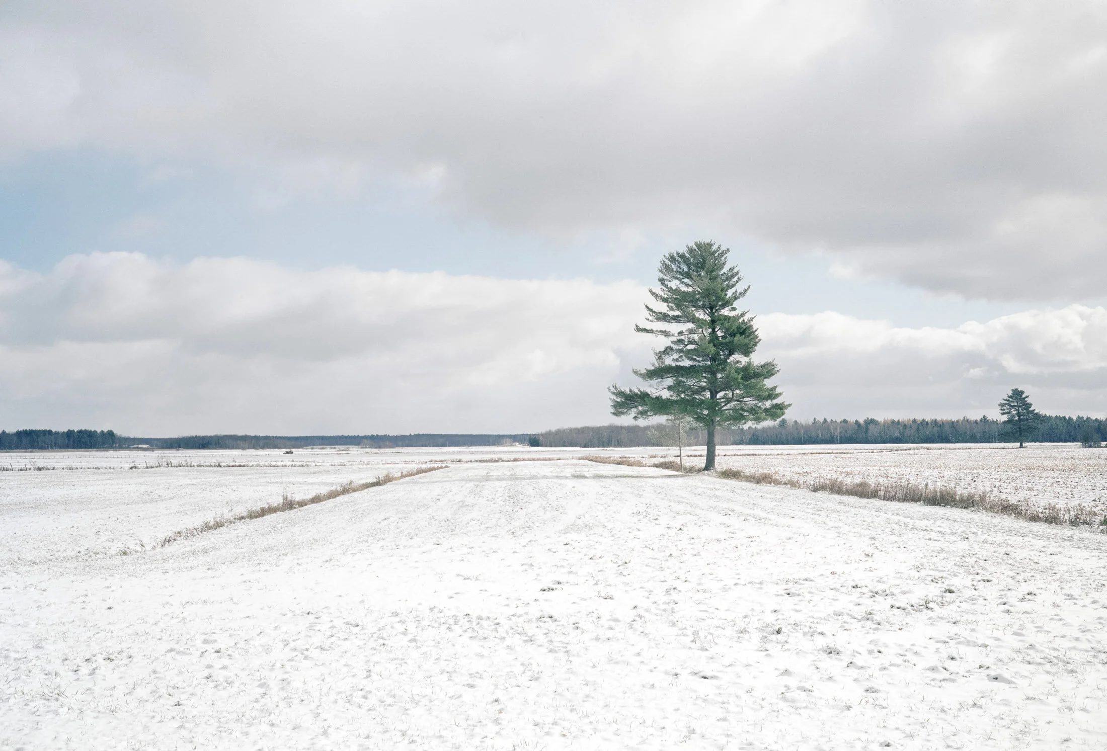 Paysage 0004-positive.jpg