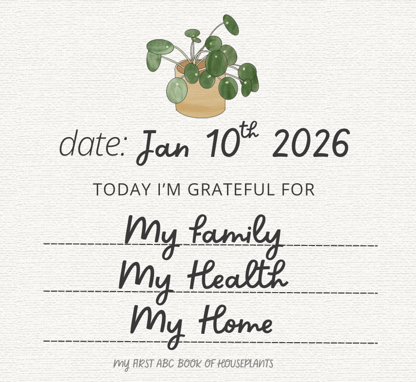 Screenshot 2026-01-16 at 10.33.44 PM.png