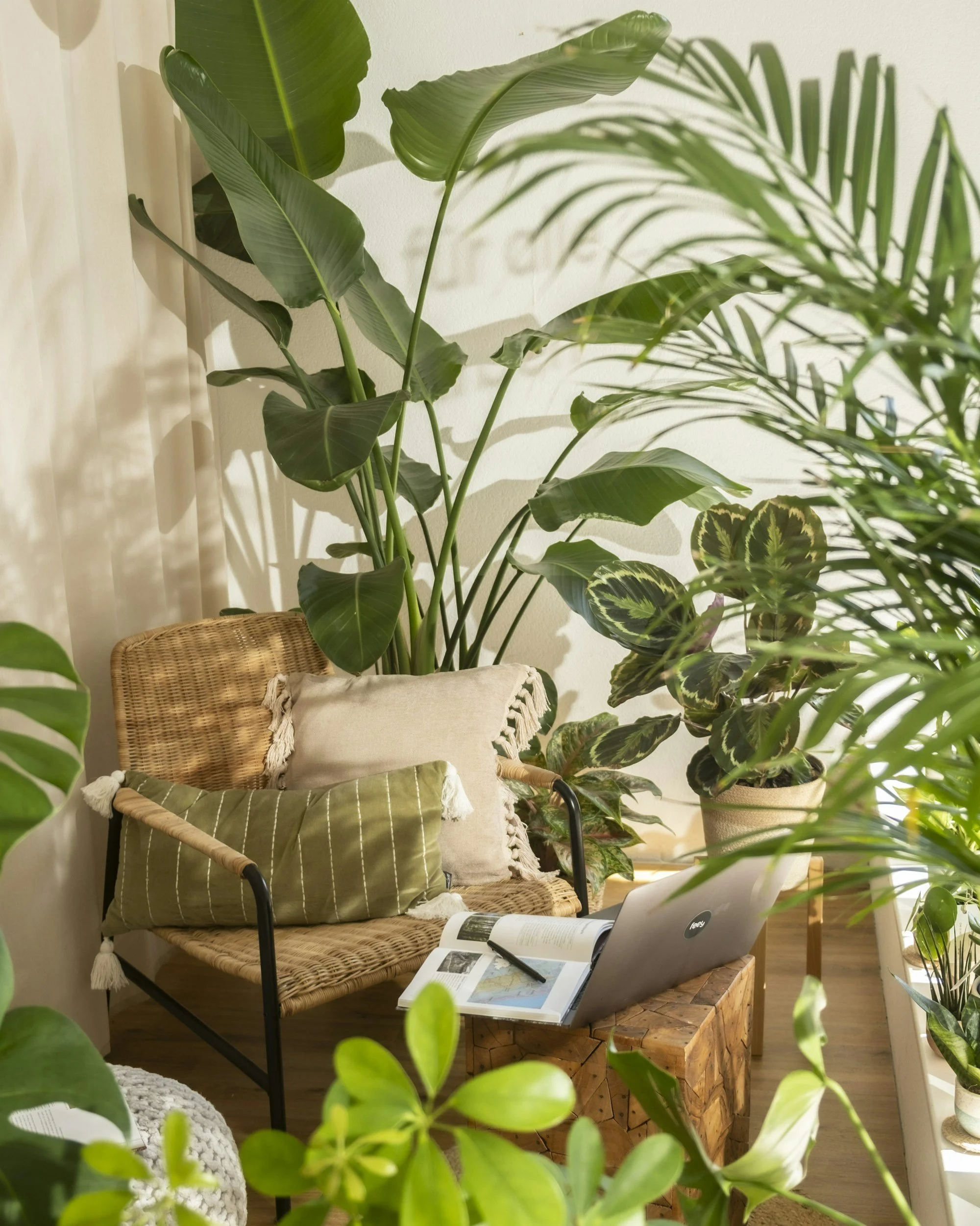 From Home Wellness to Institutional Change: Why I Pivoted to Designing Healthier Workplaces and Schools
