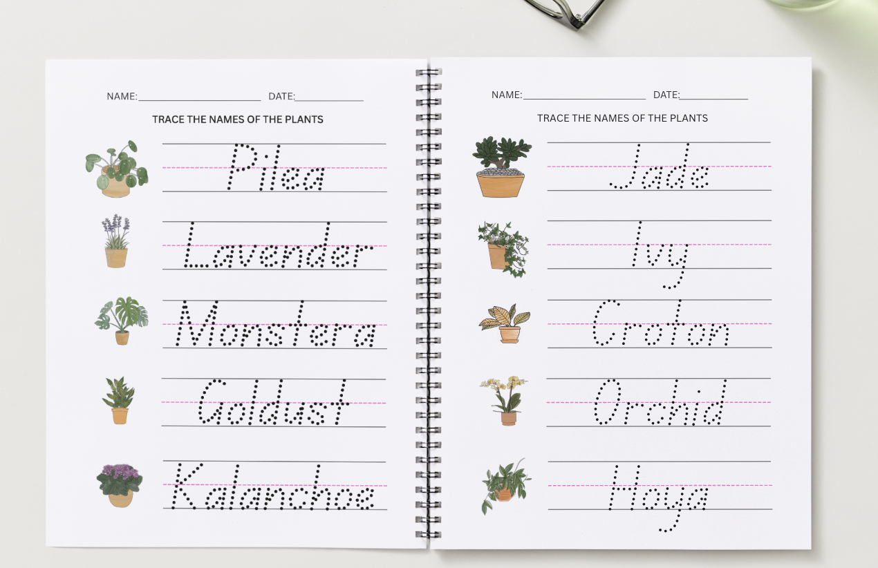 Screenshot 2026-01-01 at 10.04.11 PM.png