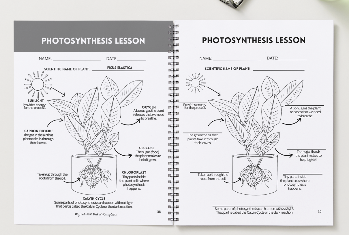 Screenshot 2026-01-01 at 2.44.12 PM.png