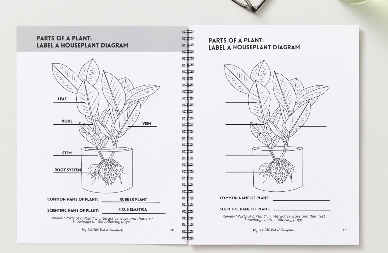 Screenshot 2026-01-01 at 2.43.58 PM.png