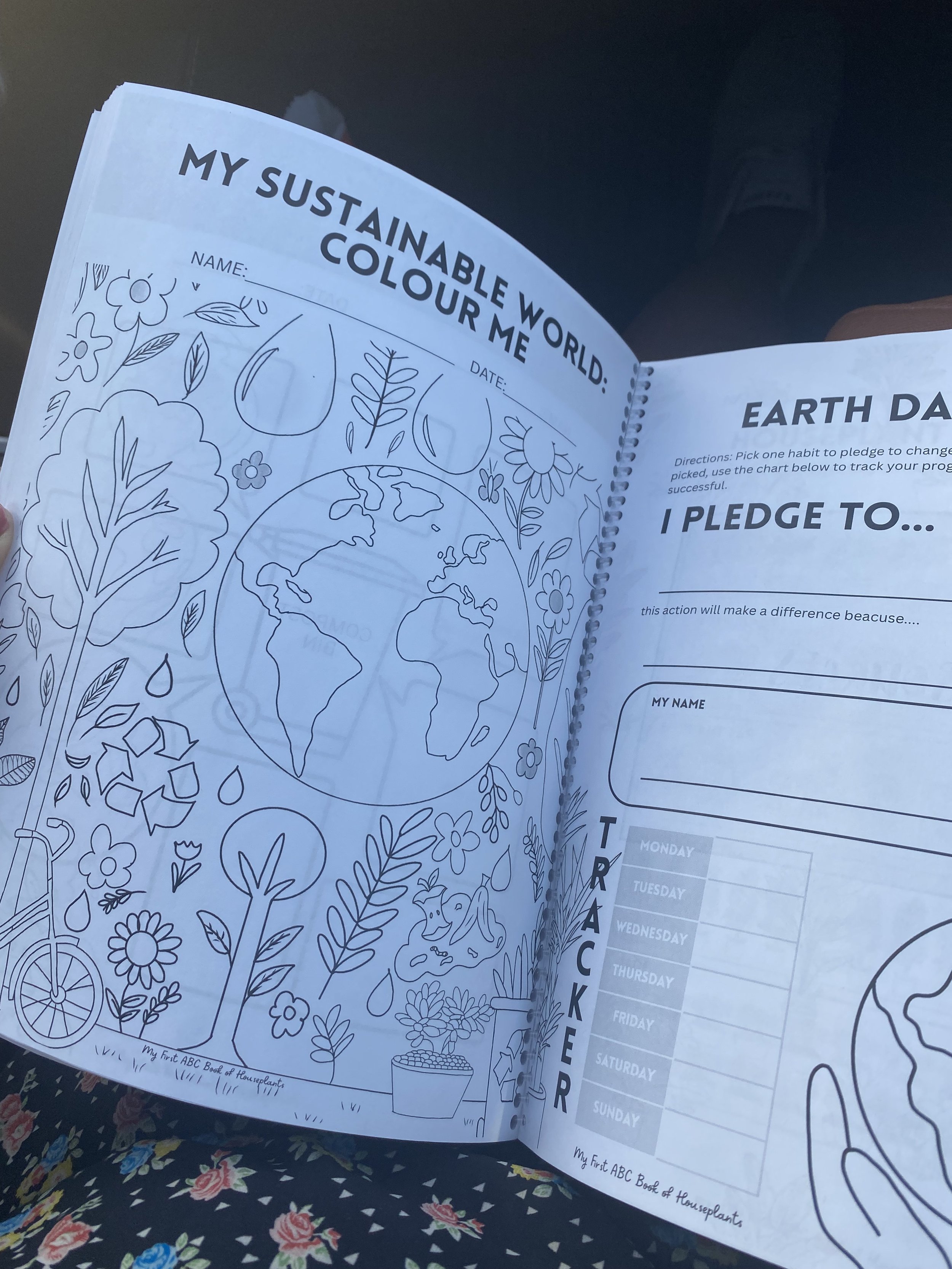 MyFirstABCofHouseplants - Teaching Plan 1.jpeg