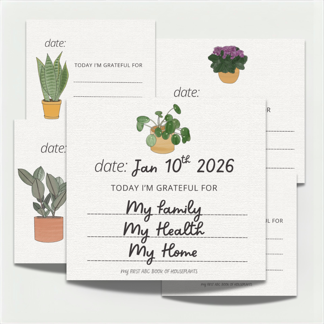 Gratitude Cards.png