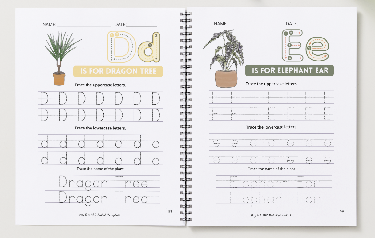 Screenshot 2026-01-01 at 10.04.51 PM.png