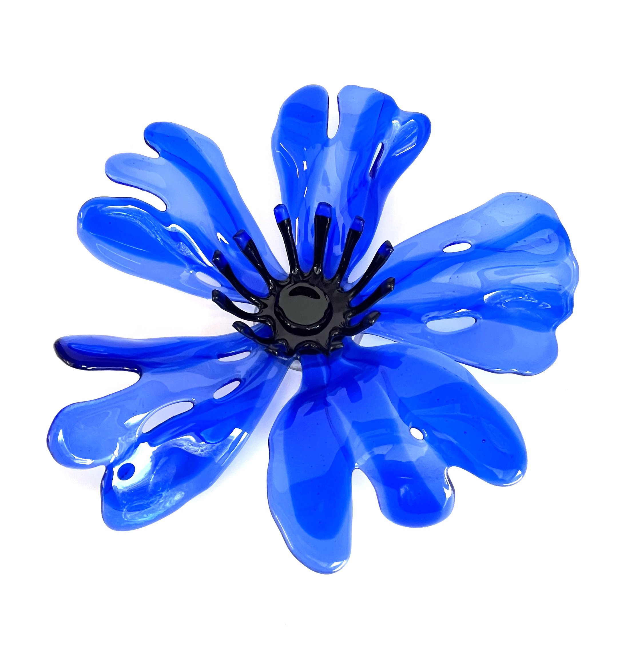Electric Blue.jpg