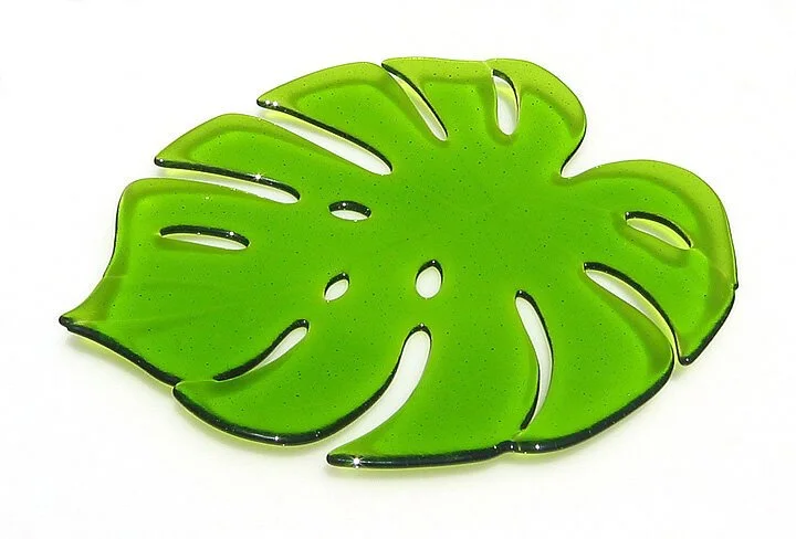 Philodendron Tray 15"