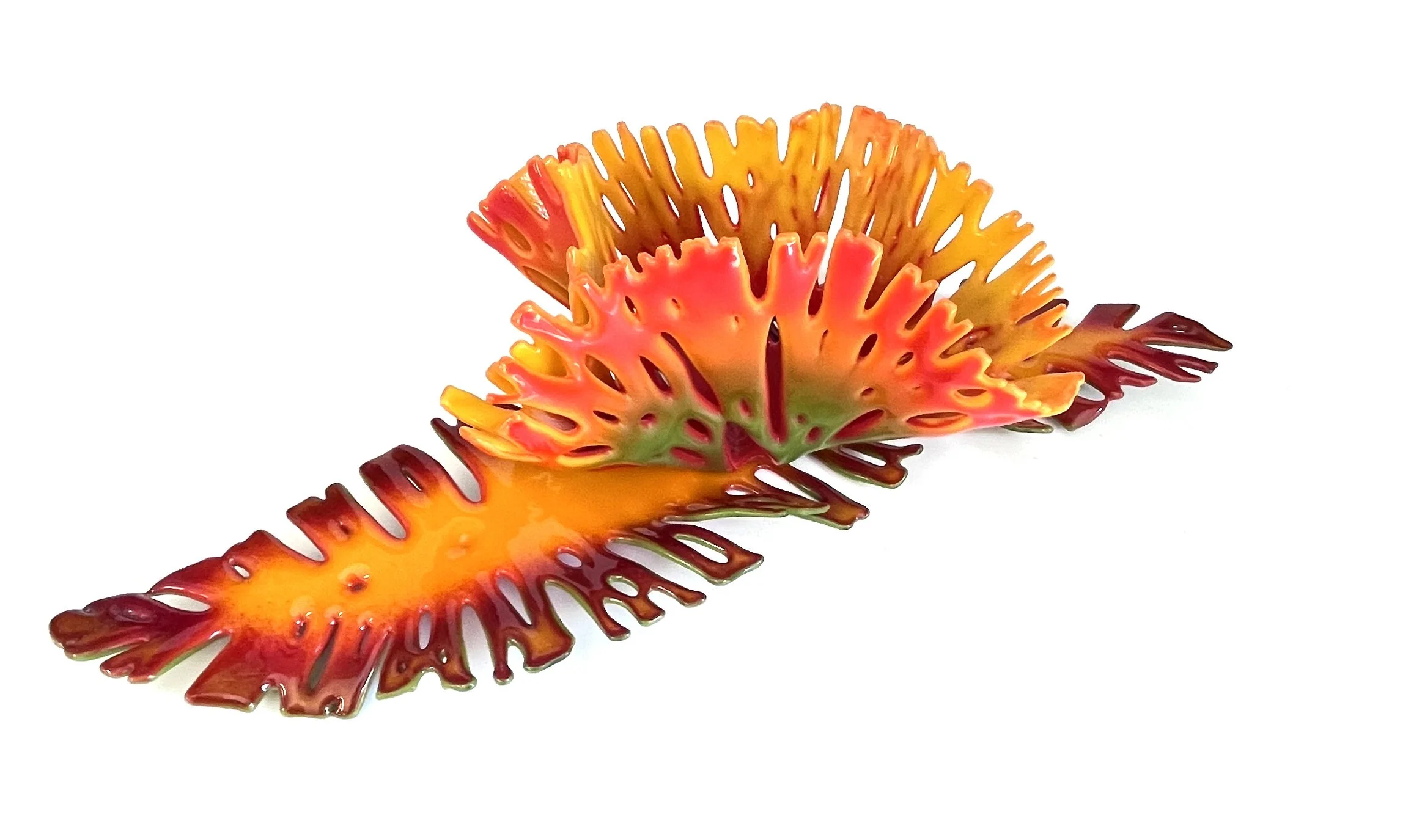 Reef & Bloom.jpeg
