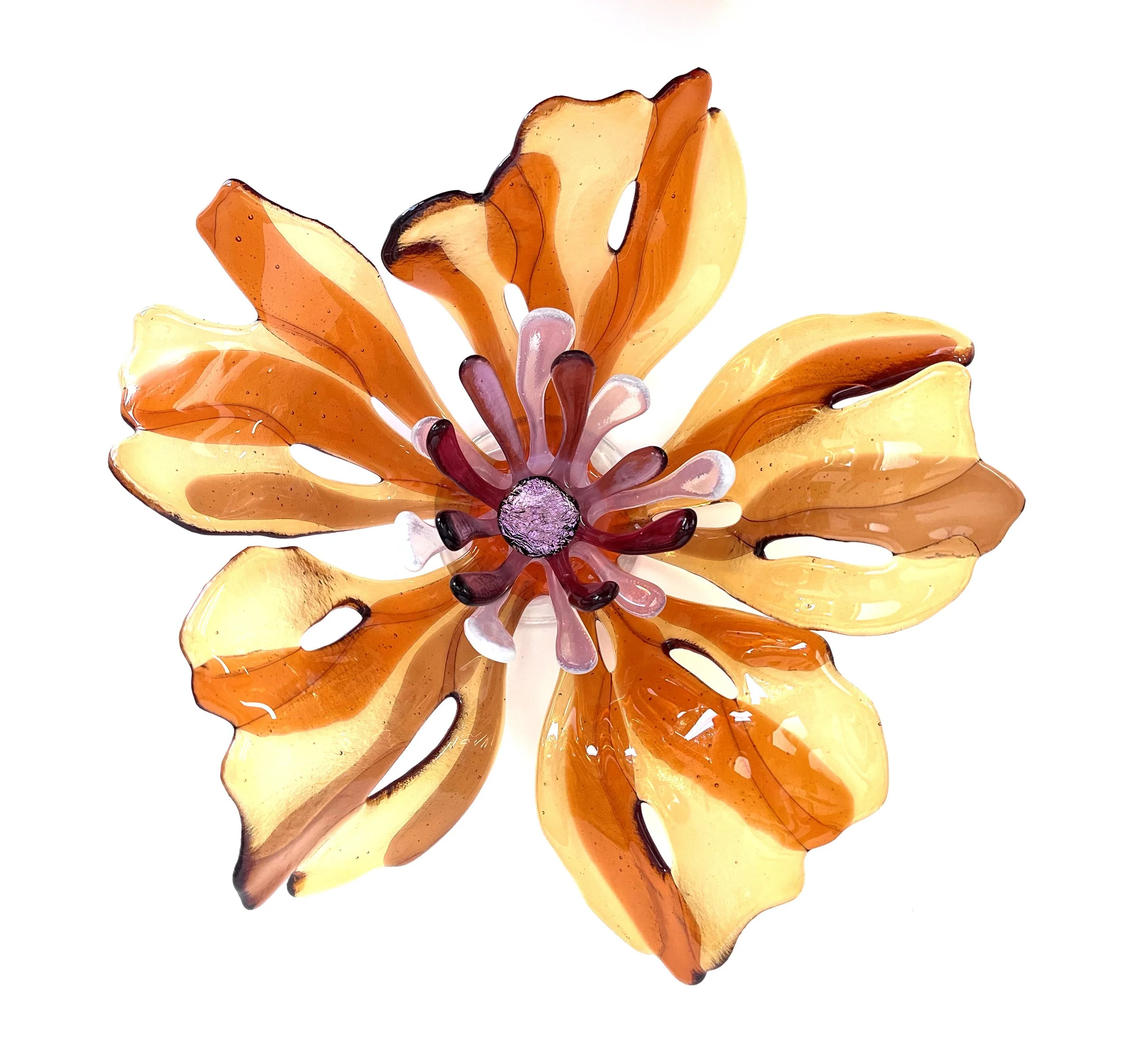 Amber Bloom.jpg
