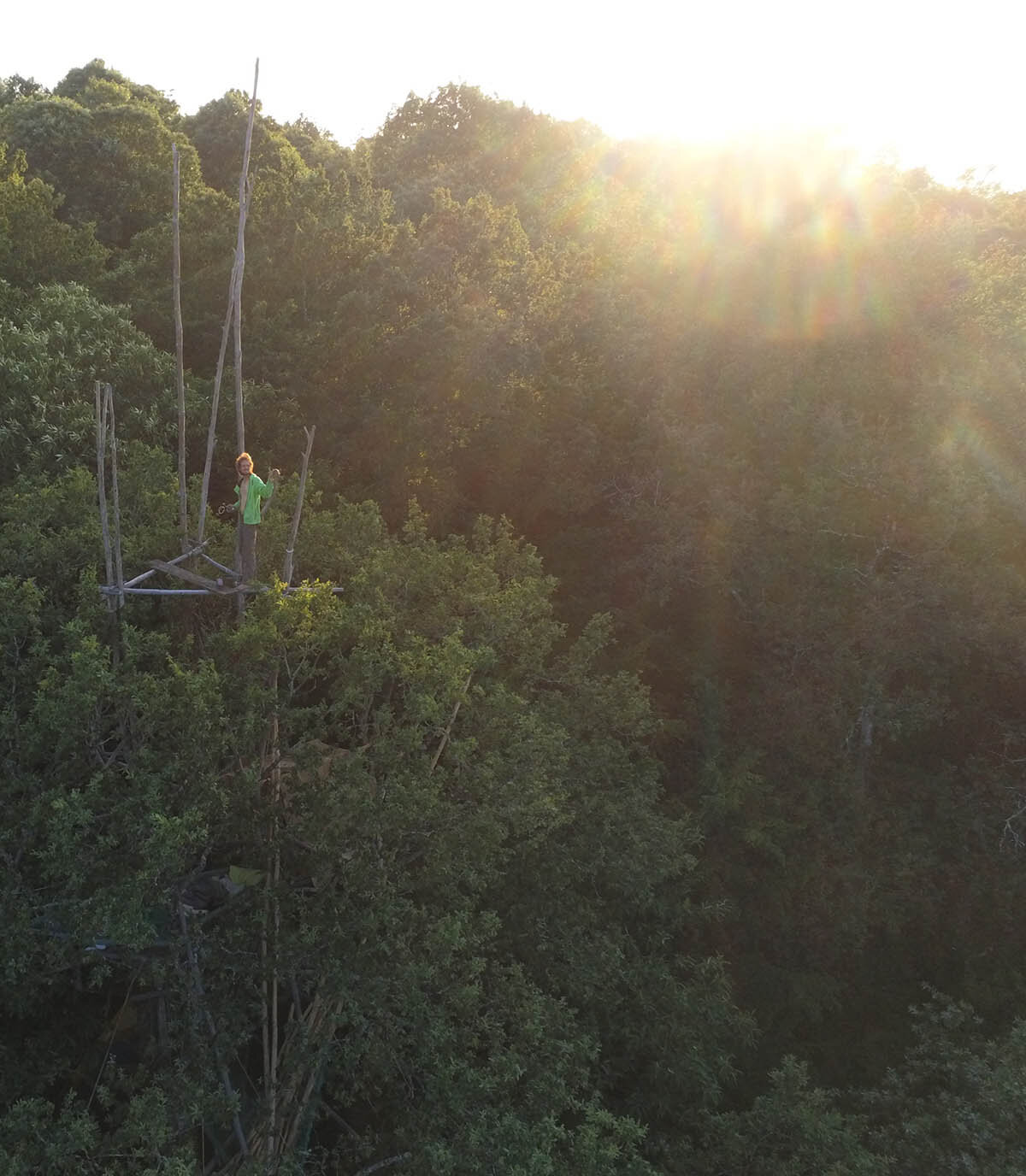 vue drone mi-juillet.jpg