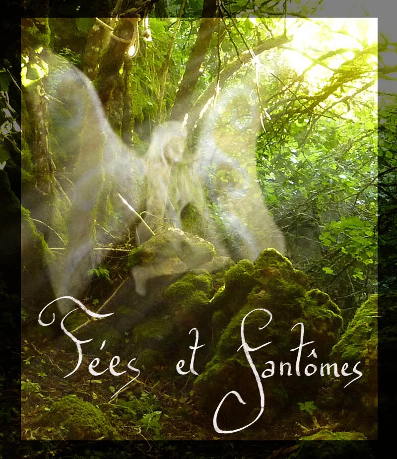 fée vignette.jpg