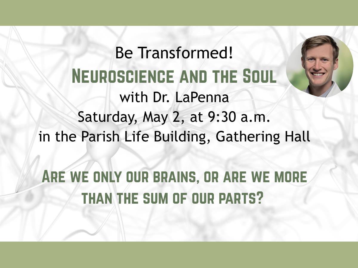 Neuroscience and the Soul