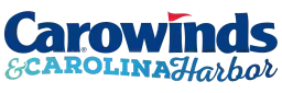 Young Adults at Carowinds