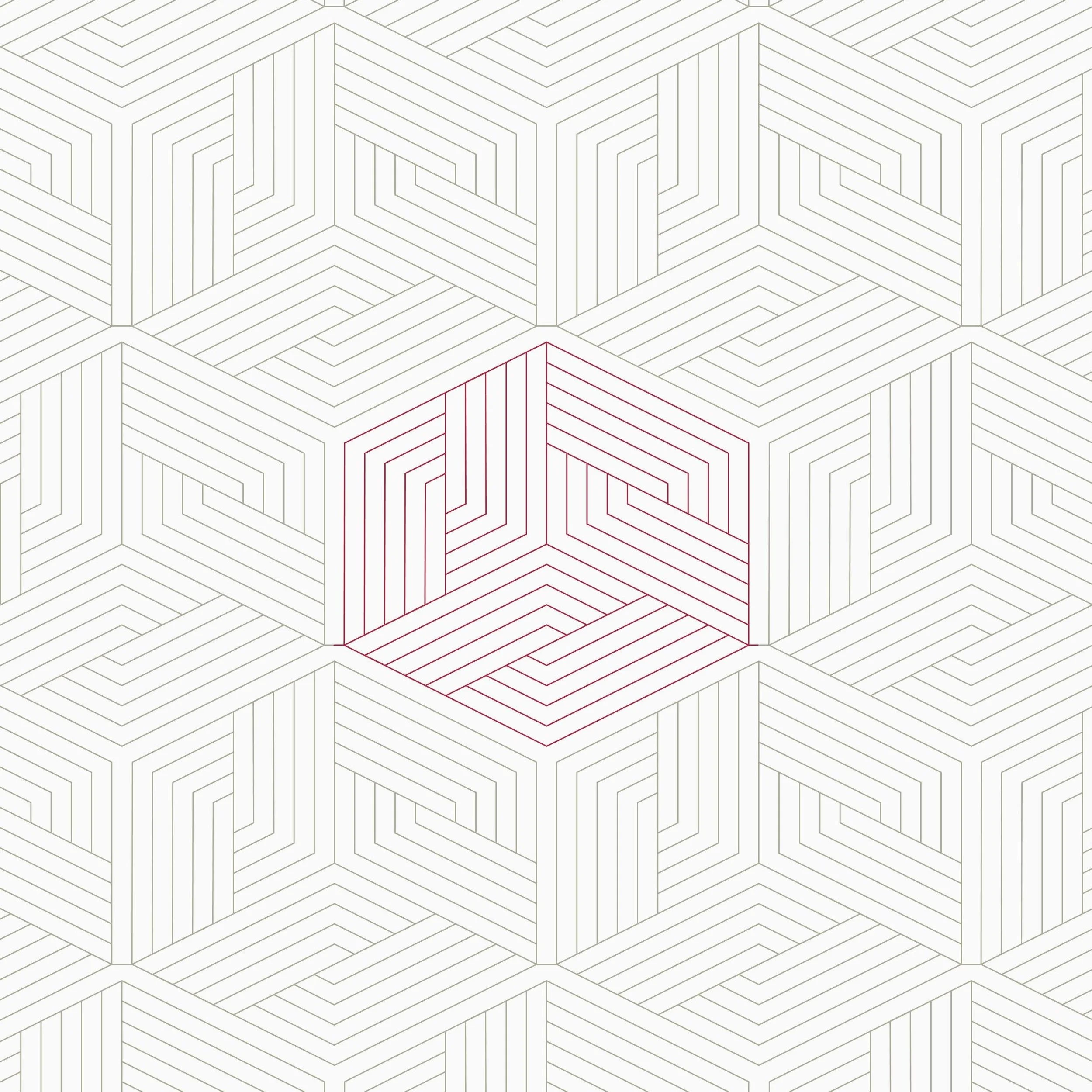 A geometric pattern consisting of white hexagons with black outlines, each filled with a maze-like design of straight lines, with one central hexagon outlined in red and filled with a similar maze pattern.