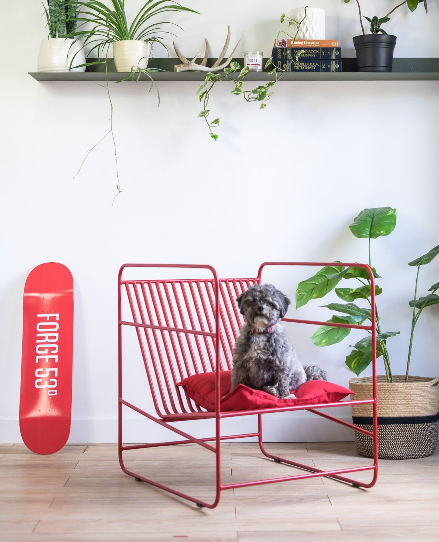Meet Pretzel, our dedicated Puplicity Coordinator. When he&rsquo;s not catching up on snoozing or requesting treats, he&rsquo;s busy making everyone feel welcome - usually curled up on someone&rsquo;s lap, ensuring no one gets overlooked.⁠
⁠
Pretzel 