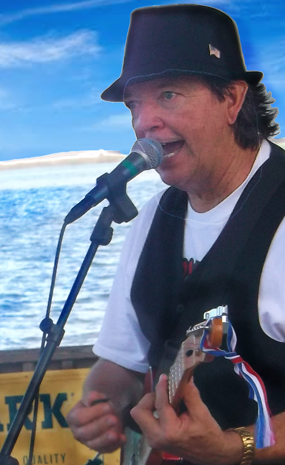 James wearing a black hat and a white shirt, singing into a microphone while playing a guitar, outdoors near a body of water with a blue sky.