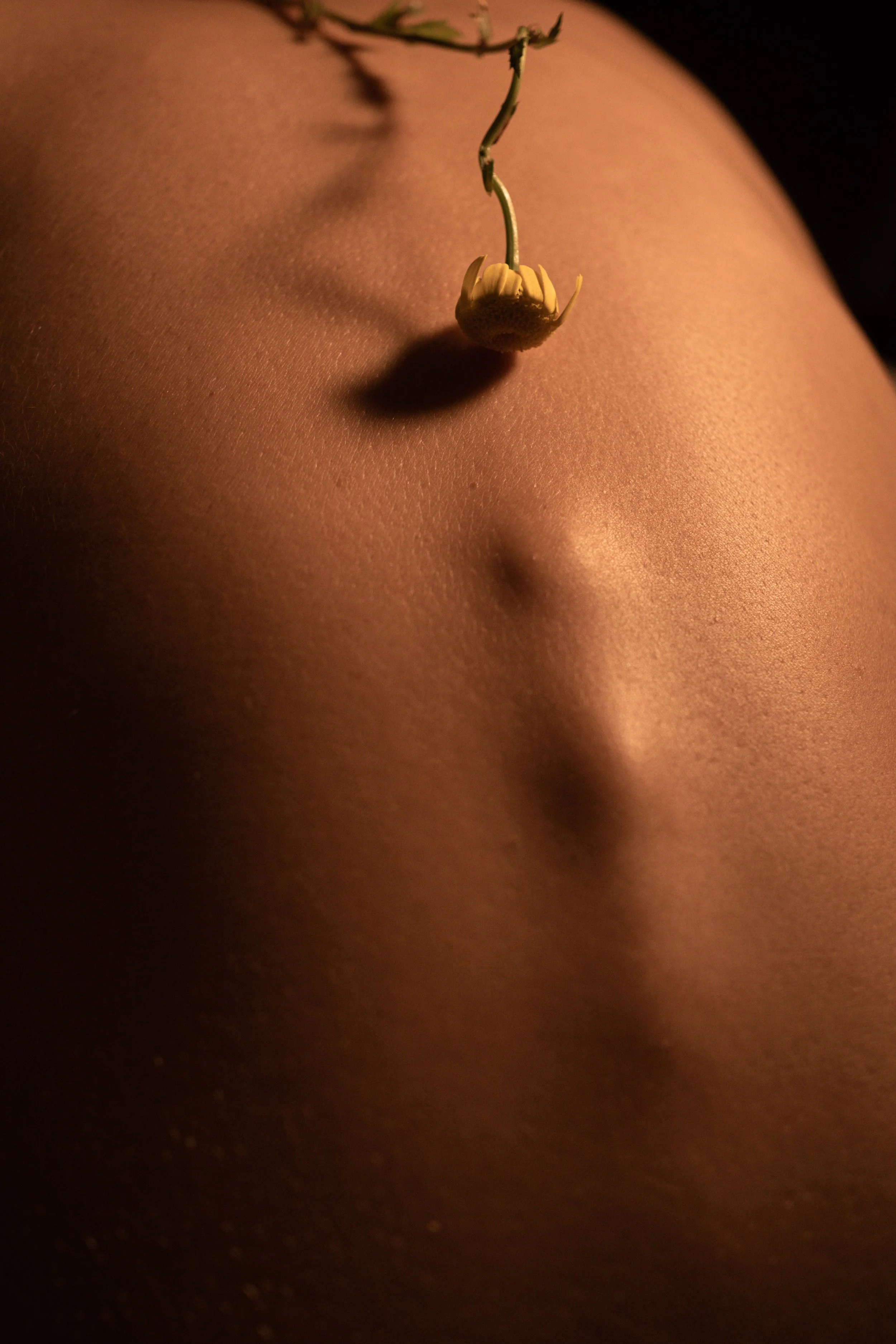 Body_Landscape ©KLS-16.jpg