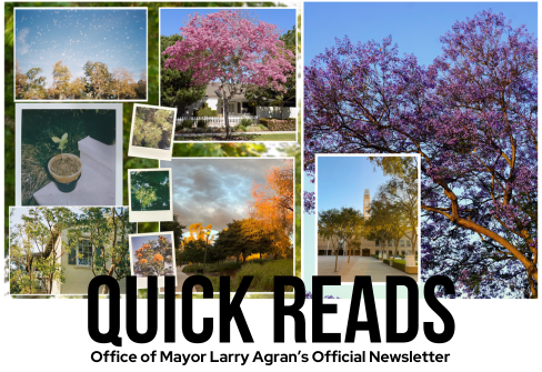 QuickReads | Celebrating Community, Creativity, and Civic Engagement