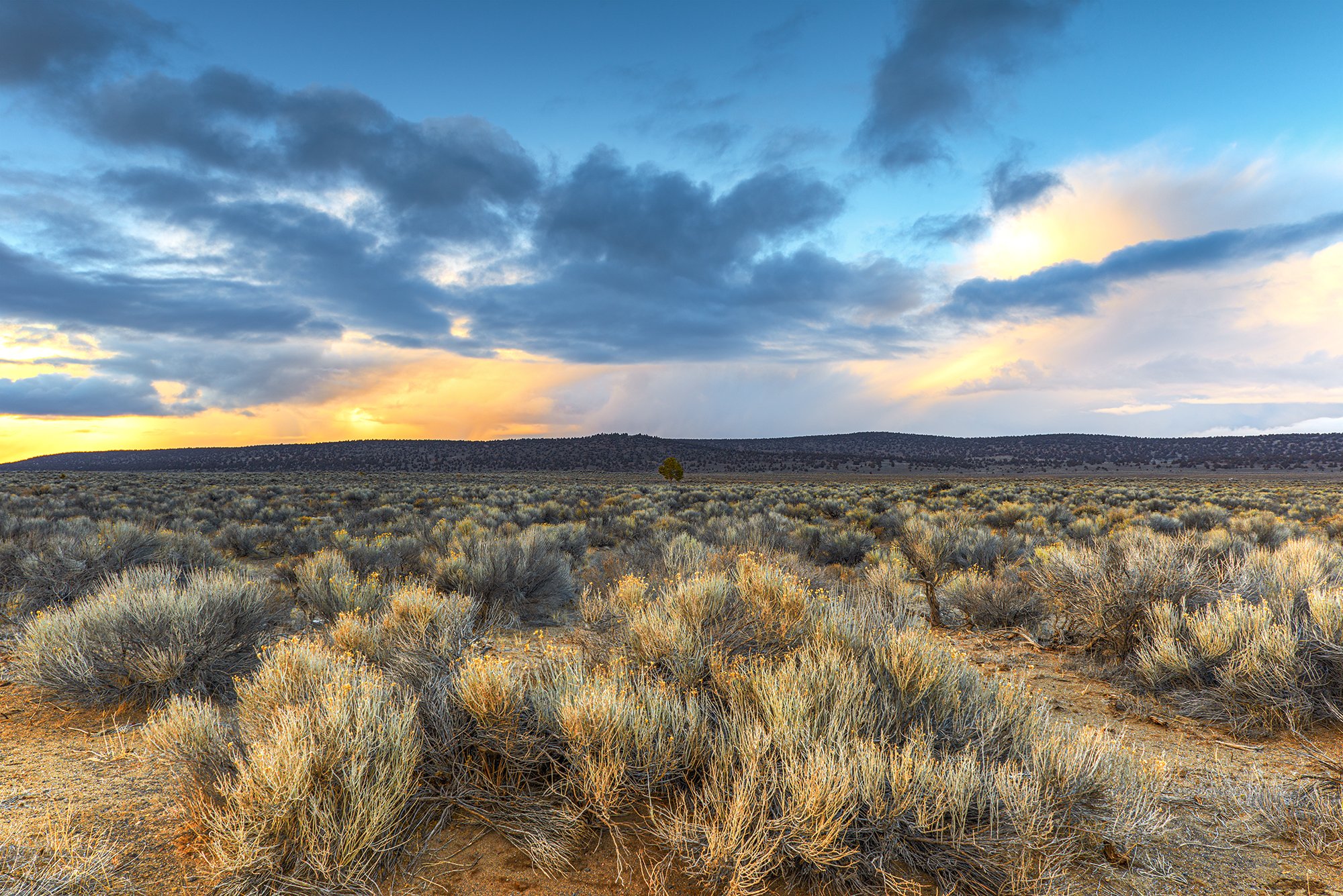 High Desert Sunset Scene