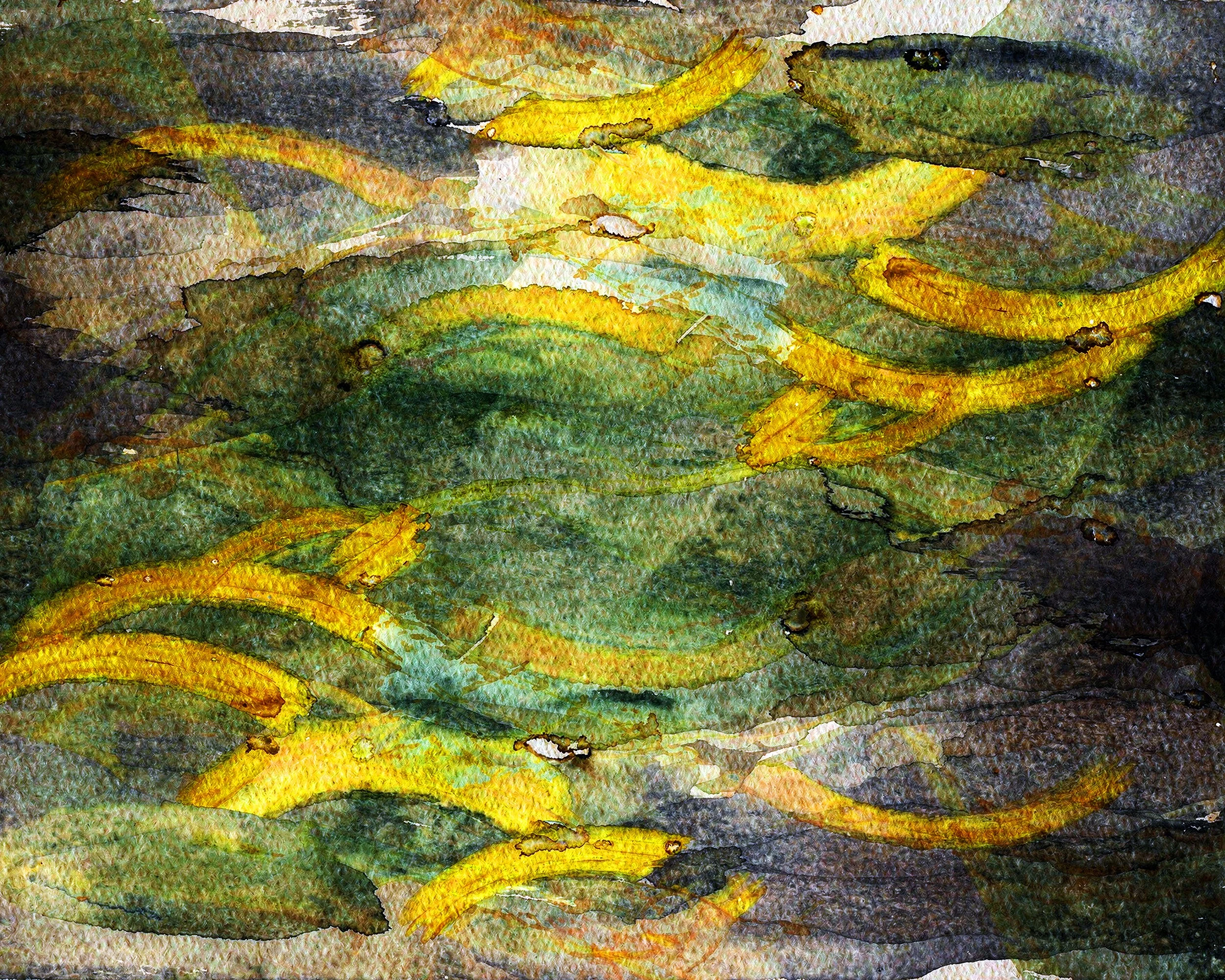 Yellow Curves 26052ICMMIBC_5x4