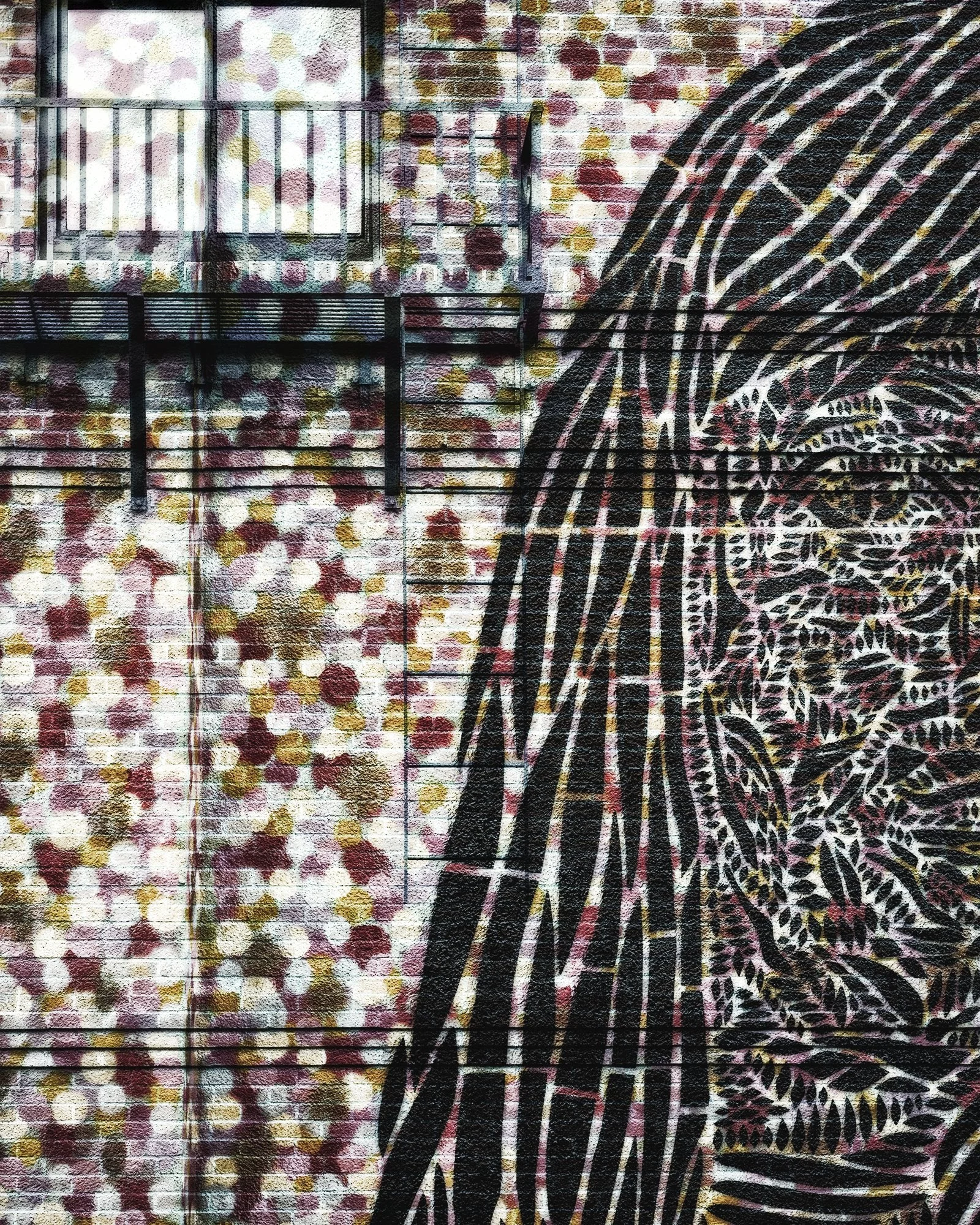 Window View 25125MIBCUSHX2DC_5x4