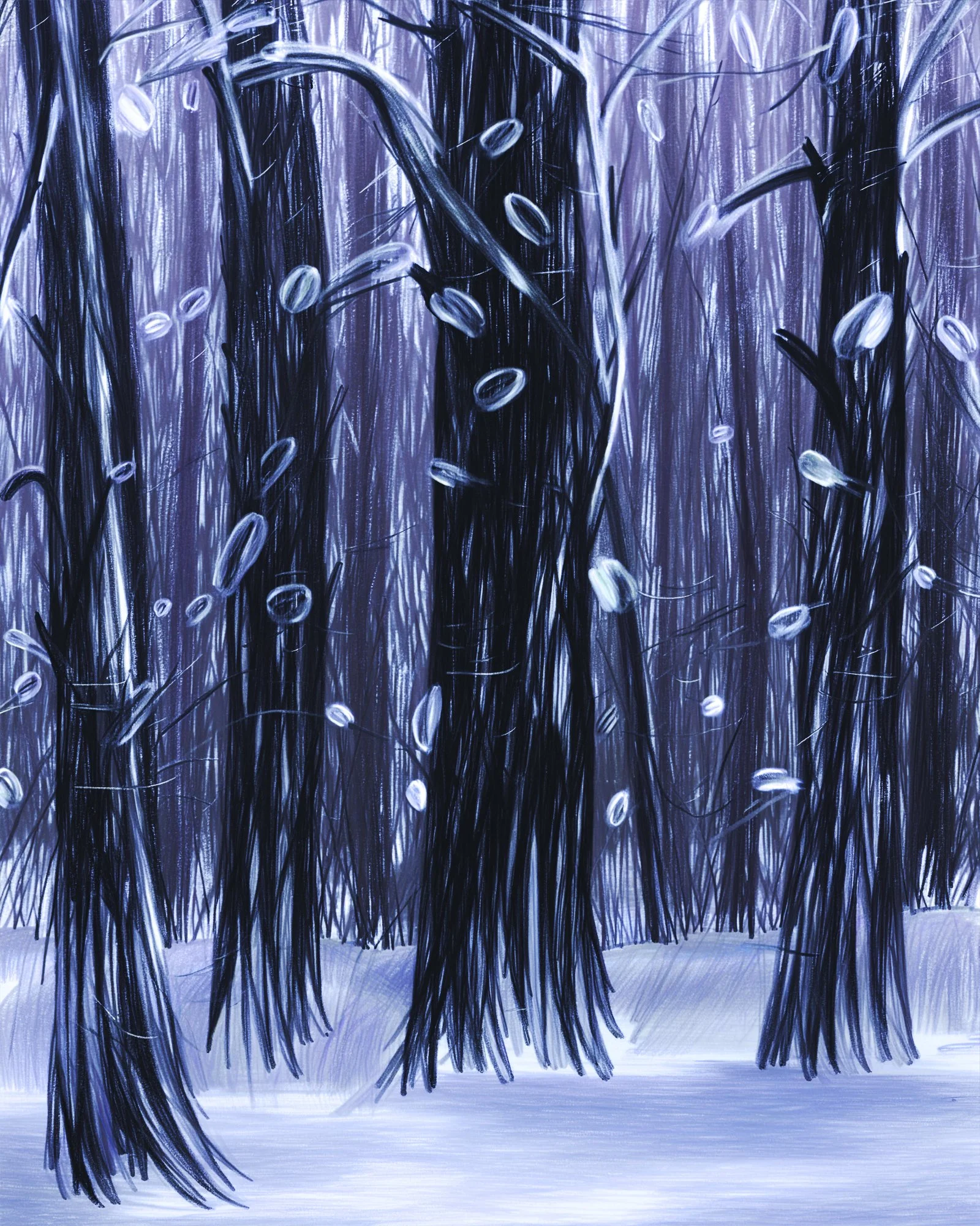 Snow Forest 26037NWGFC_4x5