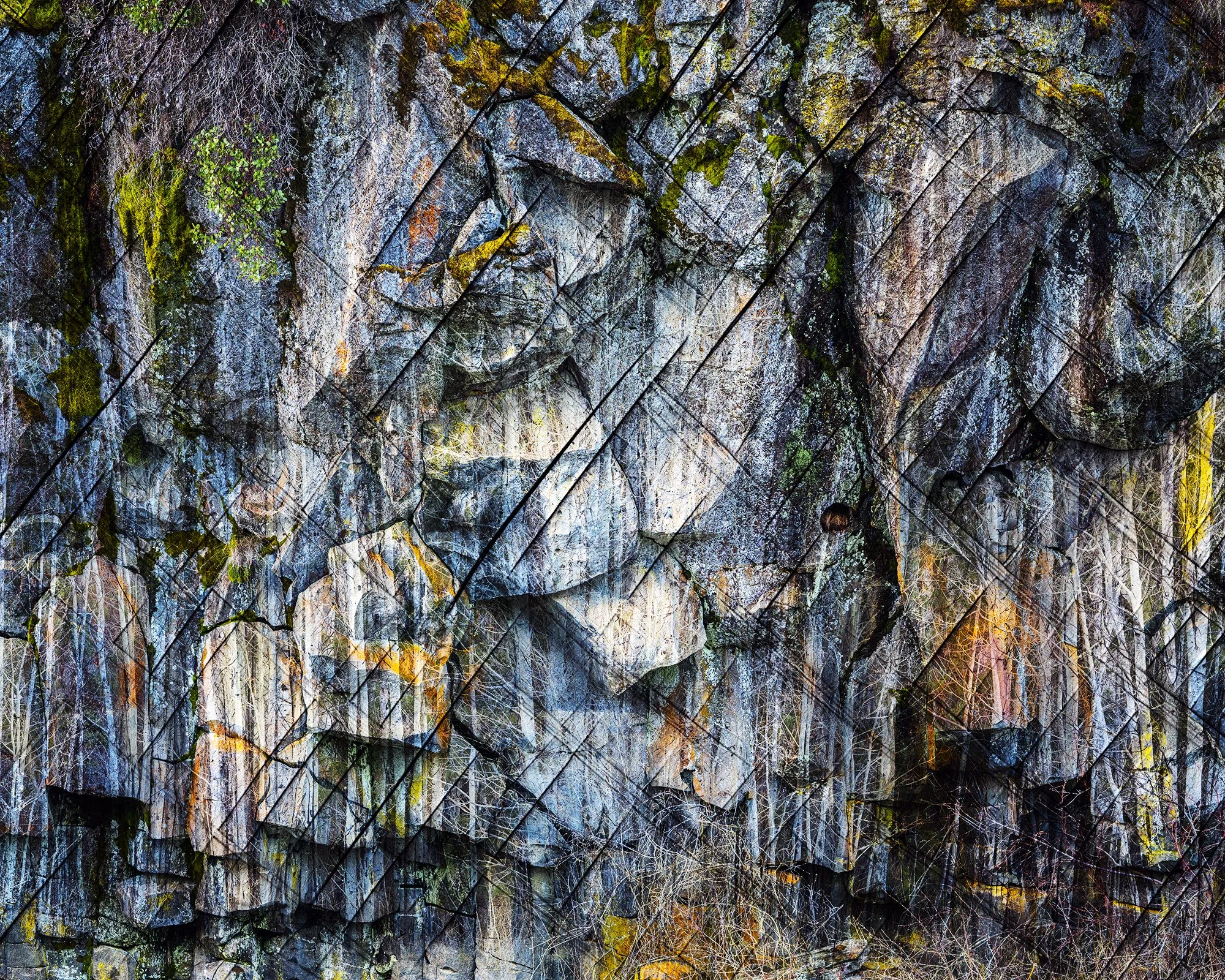 2000px_100ppi_Entangled25105MIBNWHX2DC_5x4.jpg