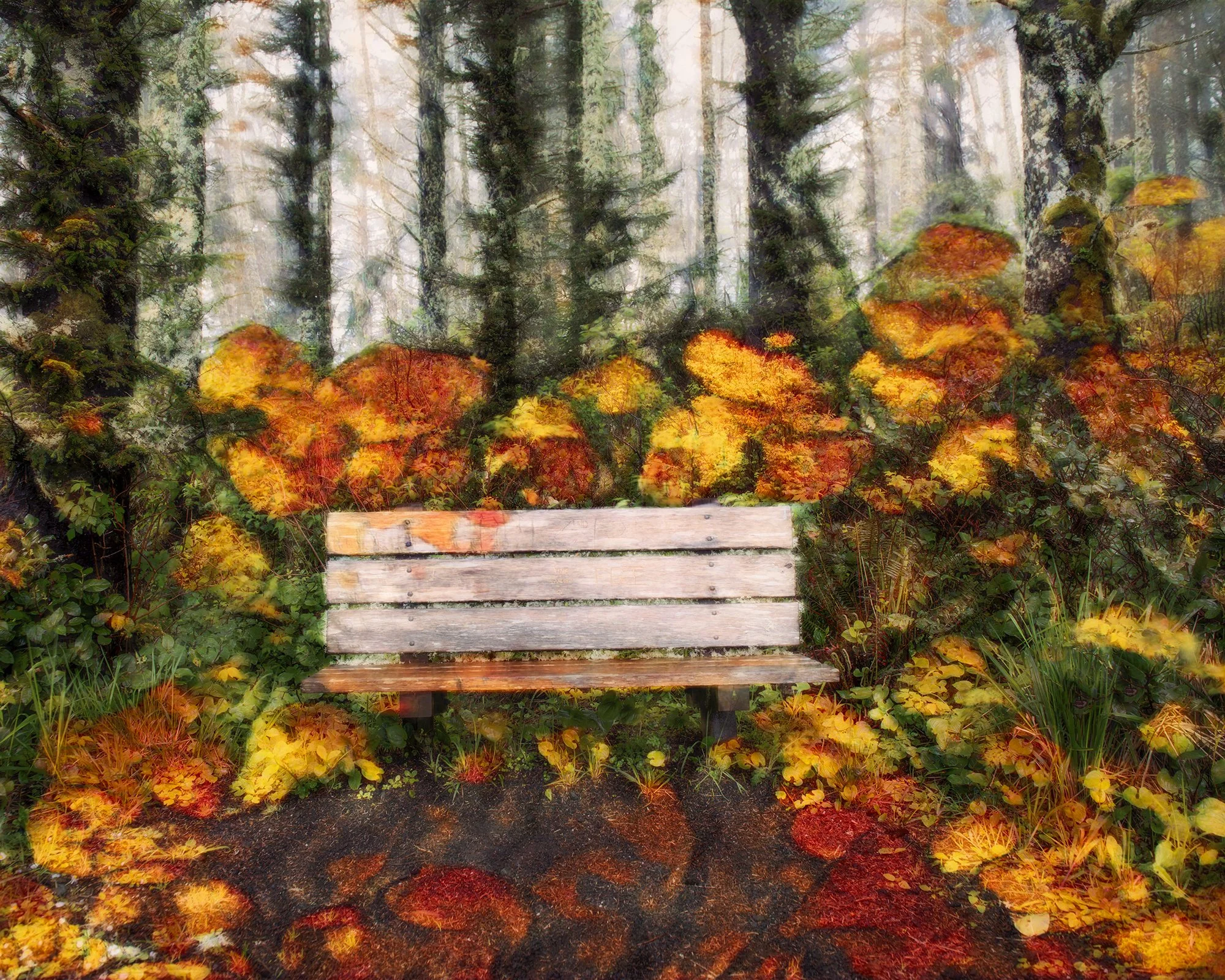 Cape Perpetua Wait Station 26044NWNFC_5x4