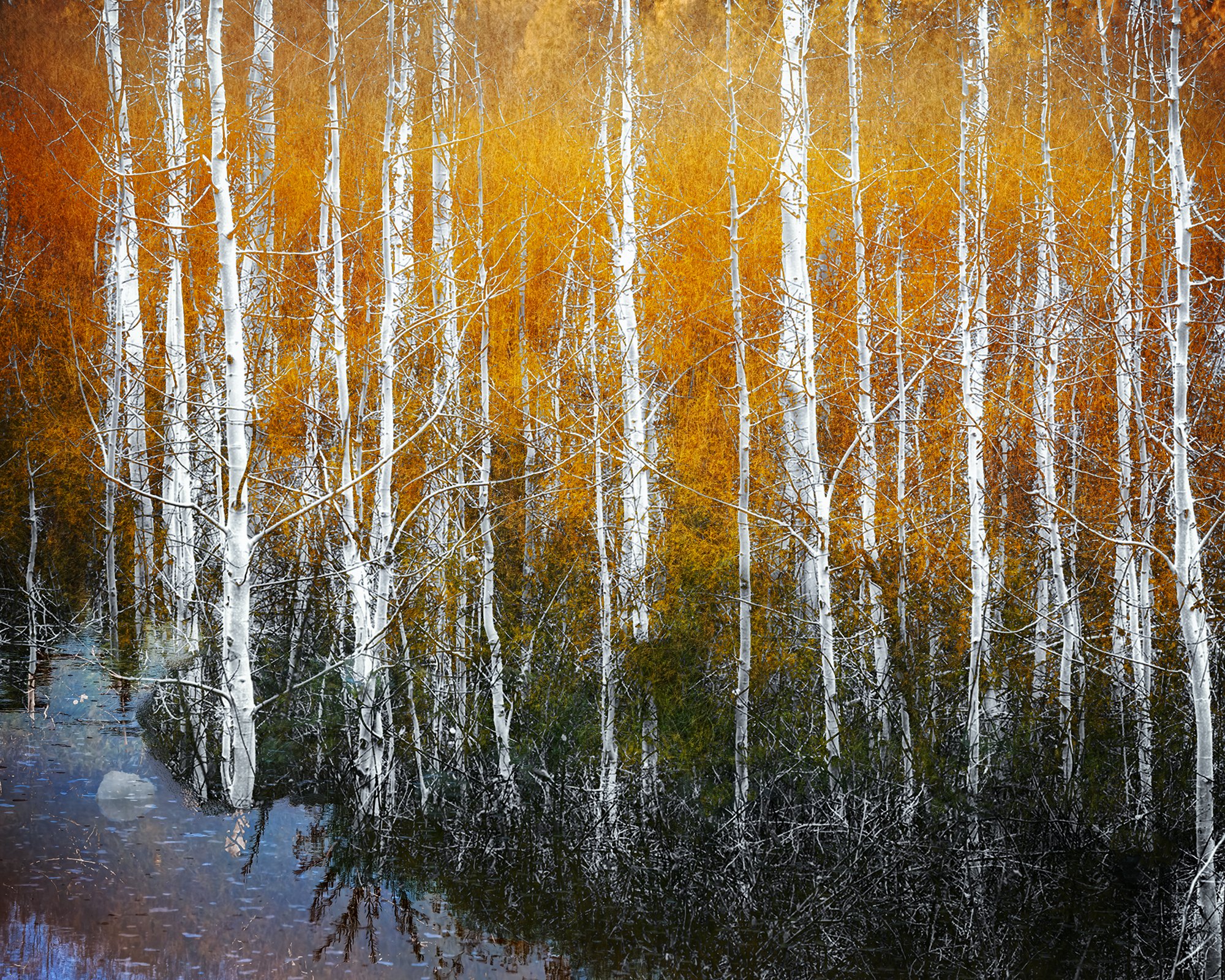 Mess'in with Ya 25179MIBNWC_5x4