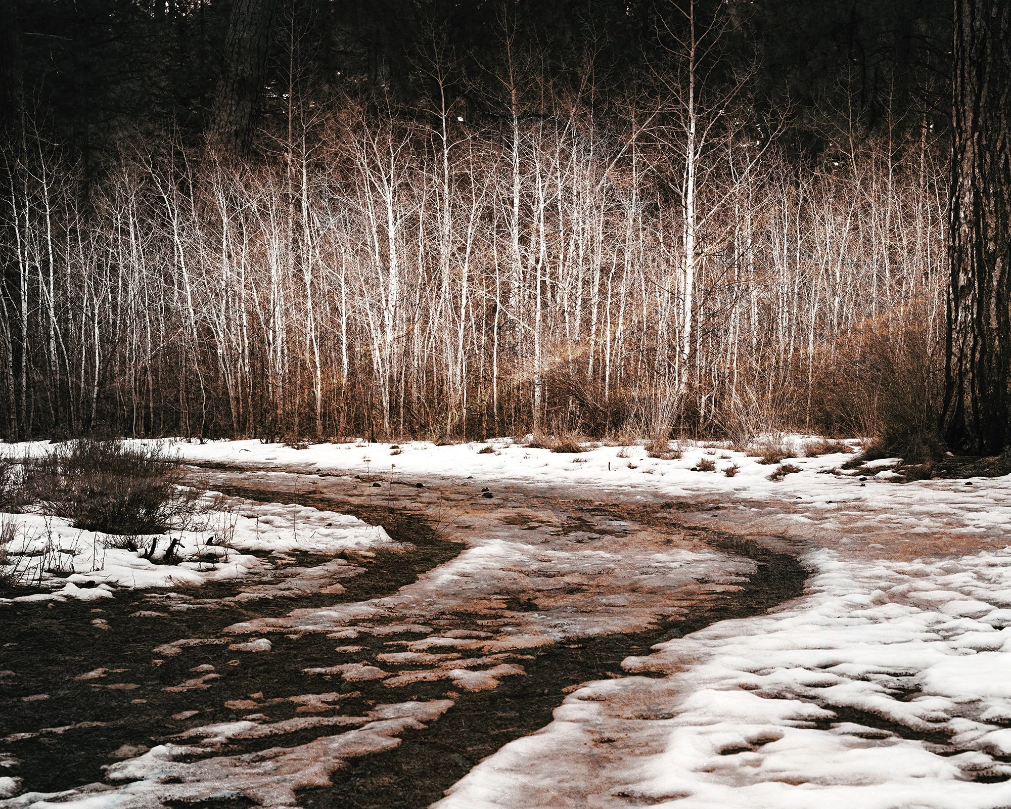 Aspen Screen 25164NWHX2DBW_5x4