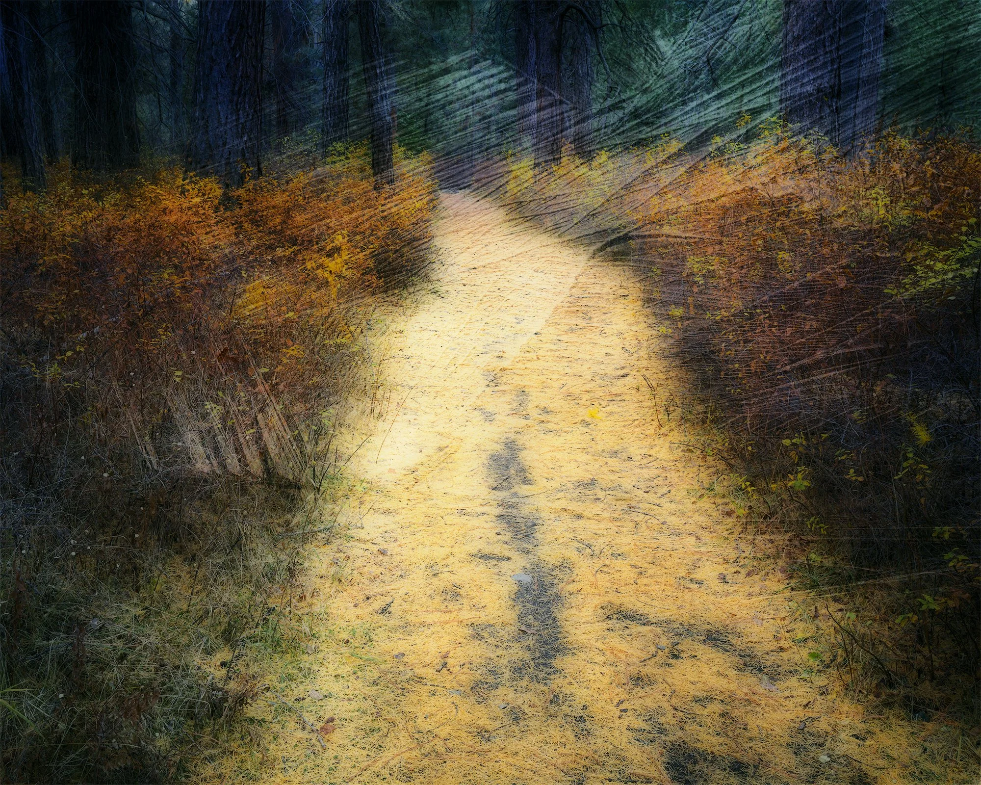 Late Autumn Stroll 25180MIBNWC_5x4