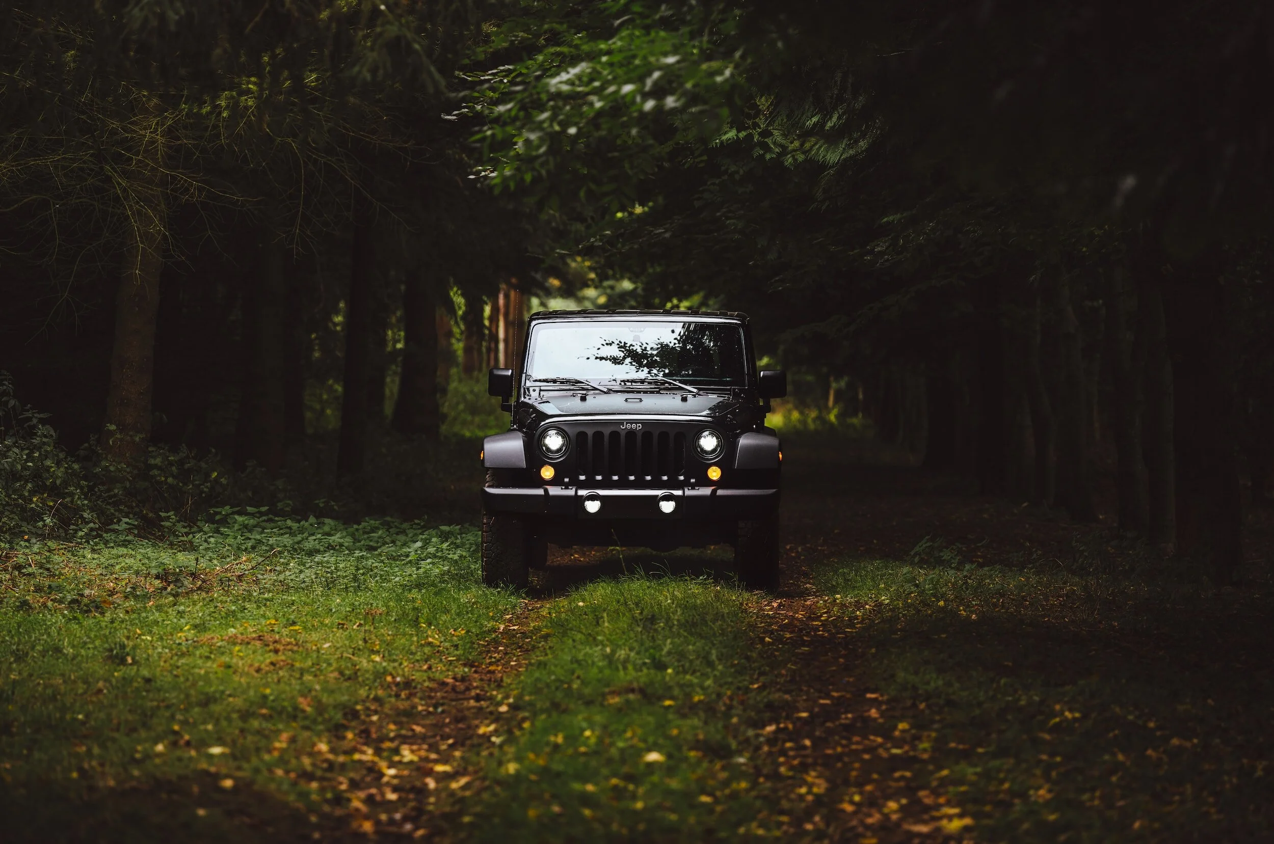 A black Jeep wrangle ran the forest.