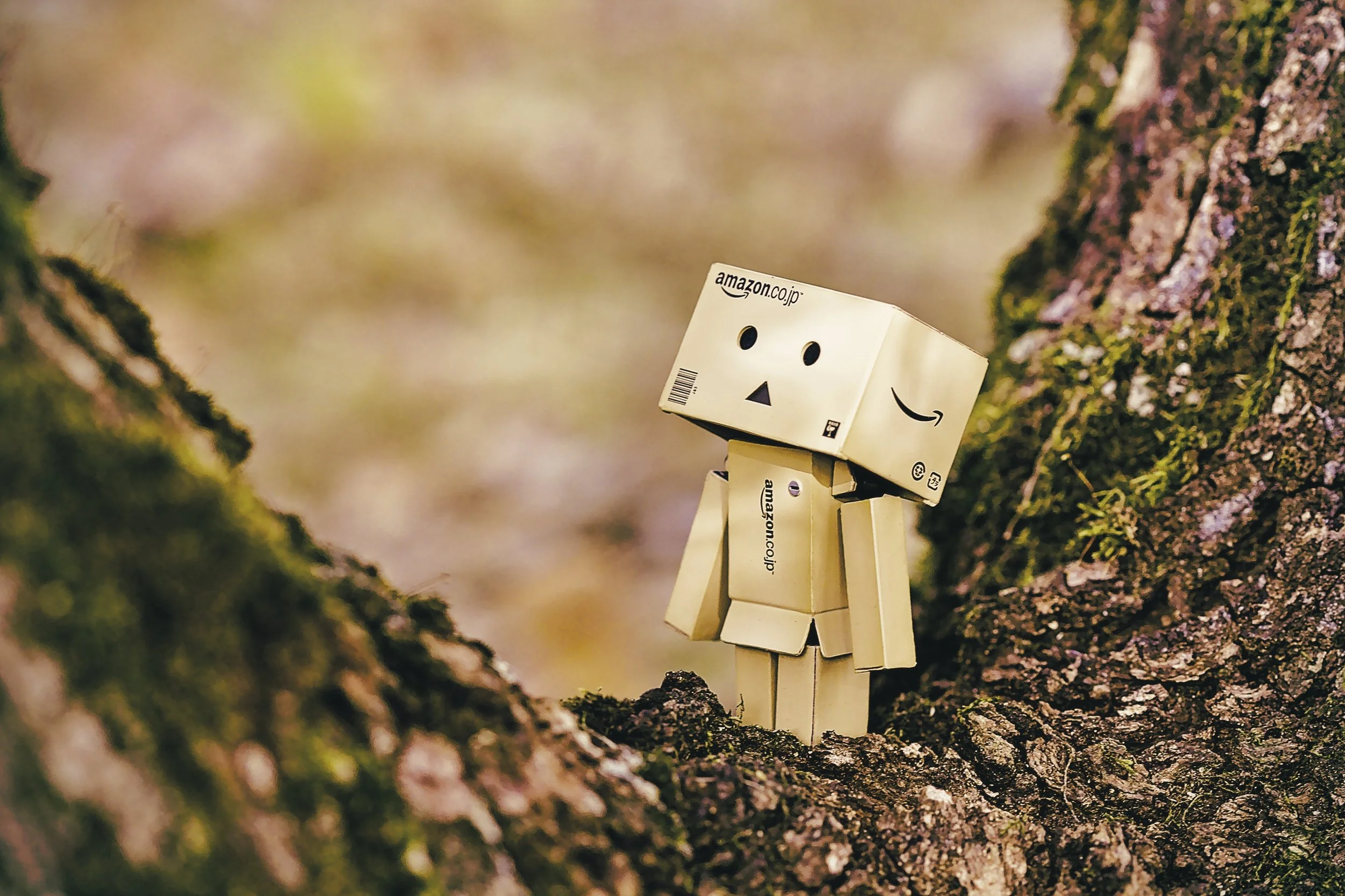Humanoid figure made of small Amazon cardboard boxes hands on the bark of a tree.