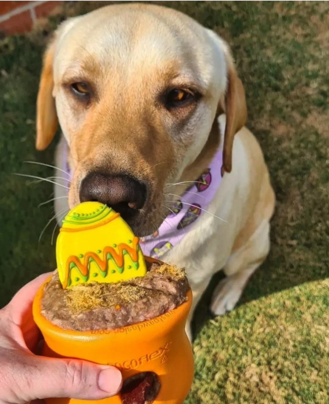 Easter Egg-Stravaganza