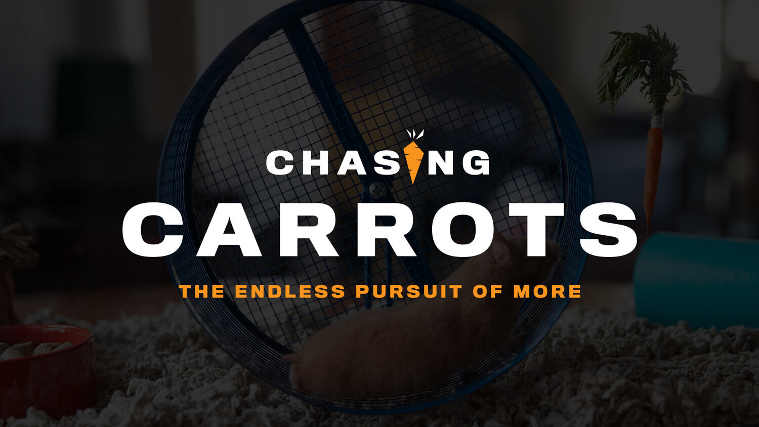 chasing-carrots.jpg