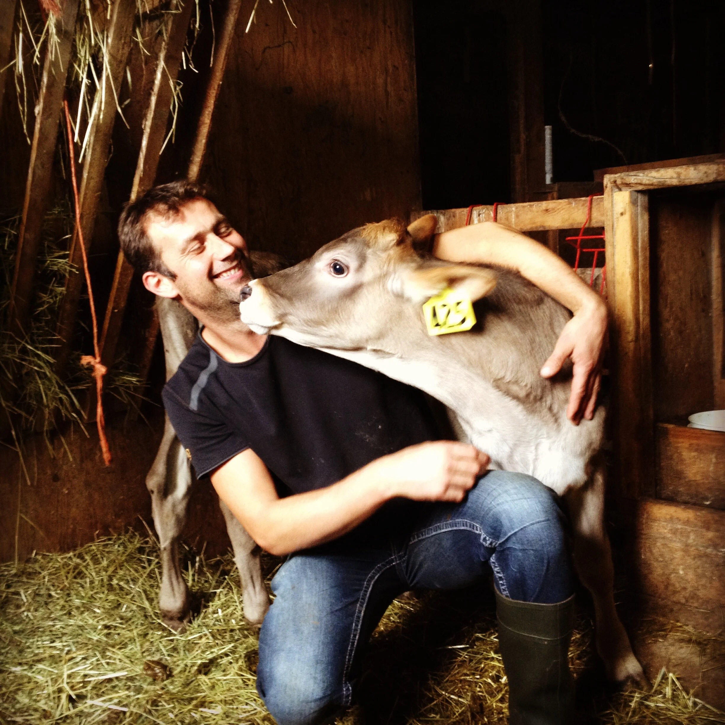 Milk Myths Debunked Part 3 Dairy is Scary or Not? — Creekside