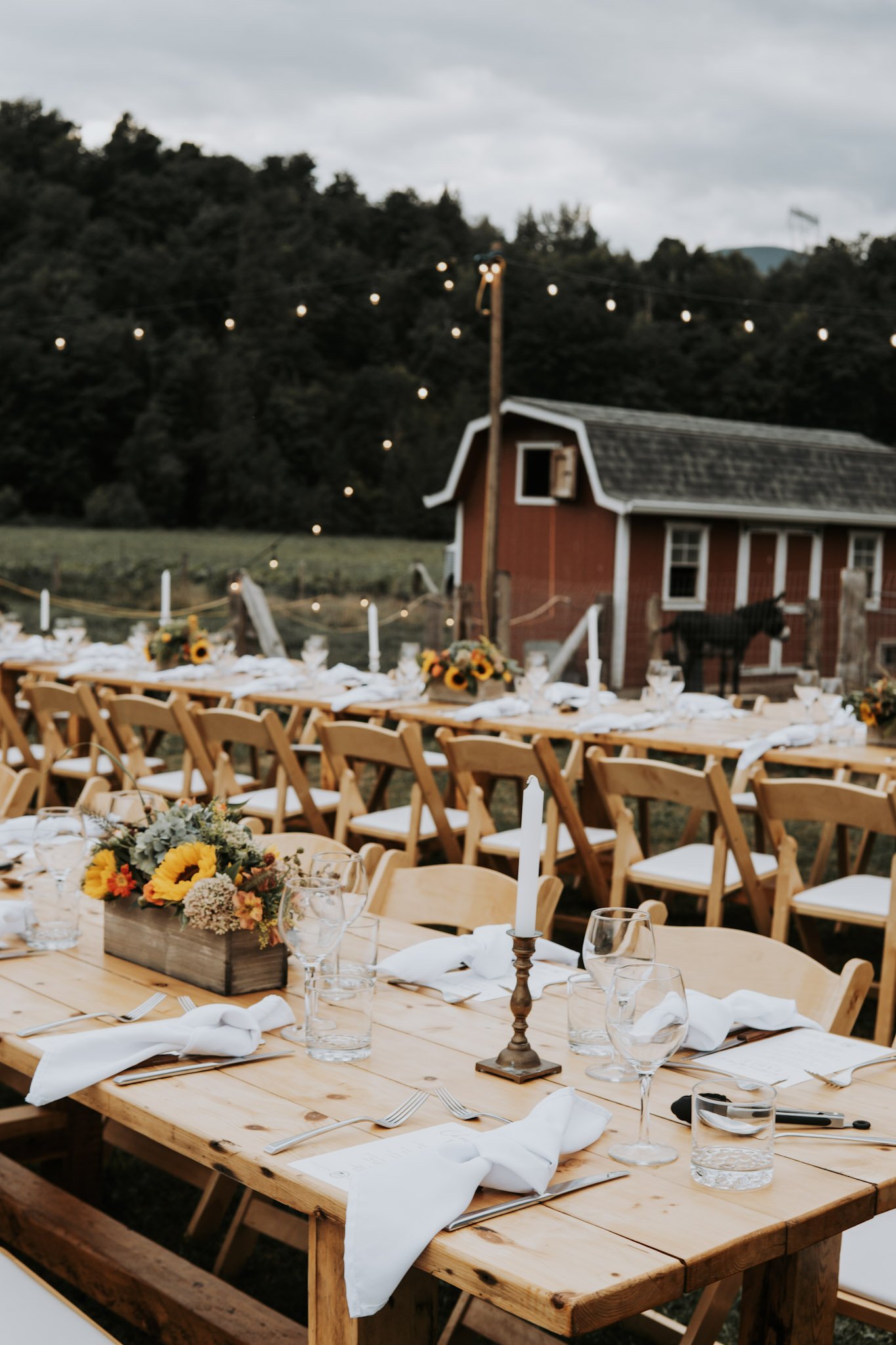   Our very first long table dinner took place this August. It was a dreamy, magical evening of fine dining and good conversation under the stars. Tickets for 2024’s dinner are on sale now on our website. We can’t wait to see what Chef Craig Scherer h