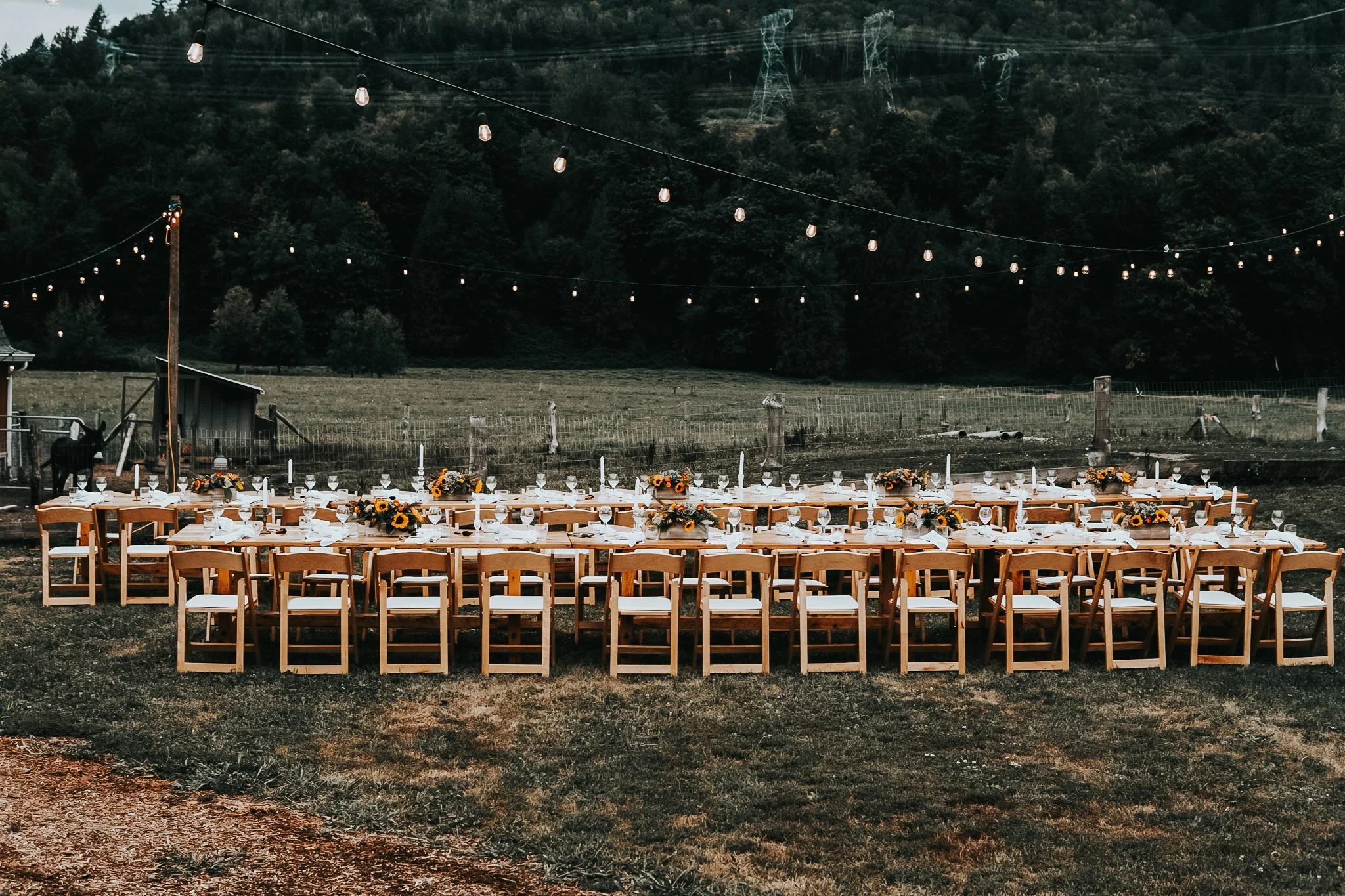 IMG_4583 2024-05-30 19_54_06.JPG