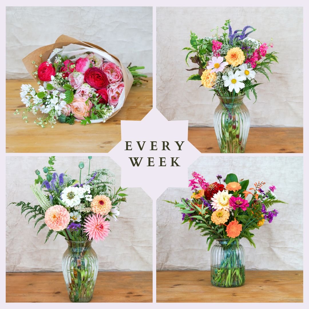 Weekly Subscription - Moorfield Farm Flowers - Seasonal Sustainable British Grown Flowers - Weekly Flower Delivery.jpg