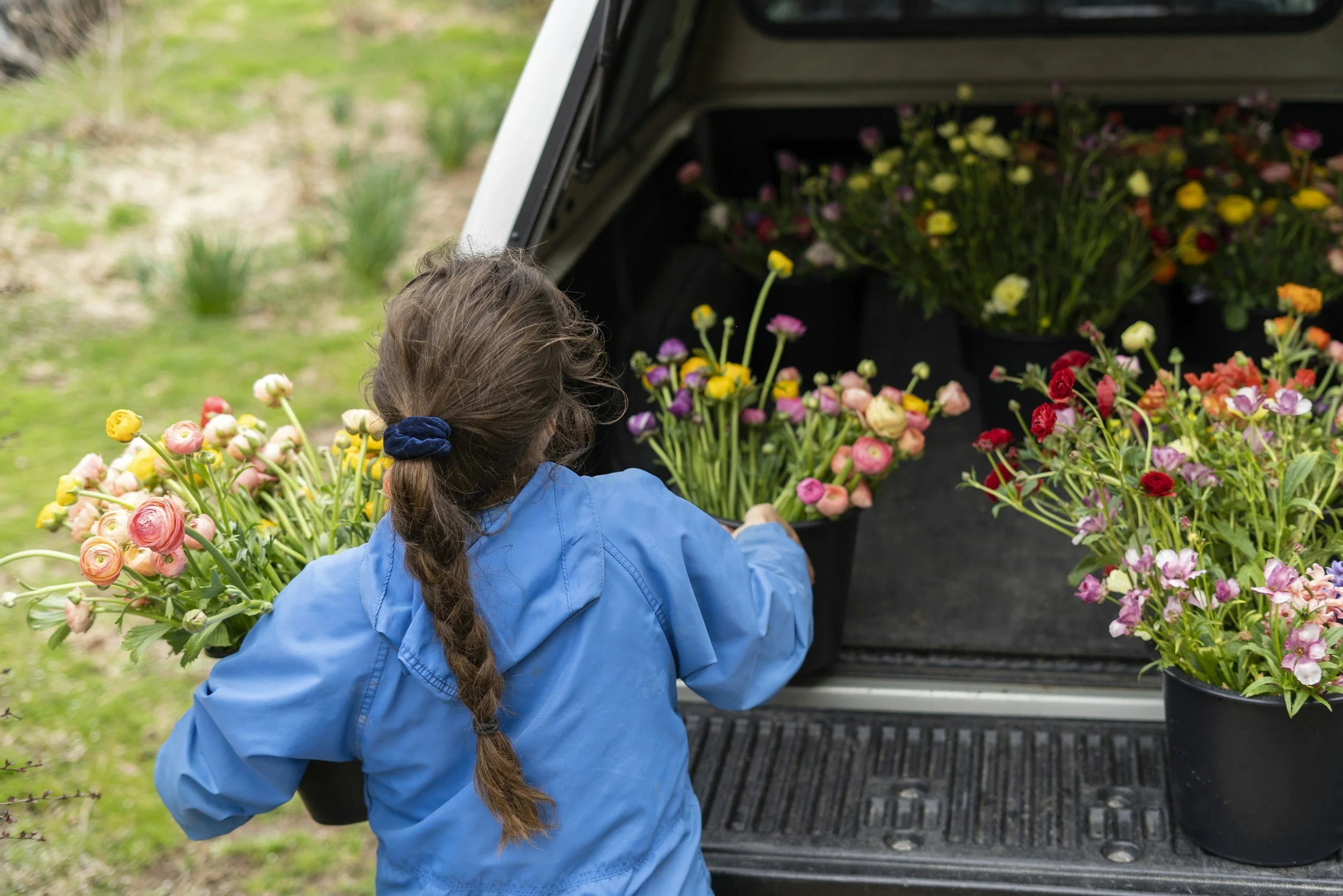 A metal bucket filled with colorful flowers including Zinnias, daisies, and baby's breath, set outdoors on a grassy area with blurred green trees and a wooden fence in the background.
