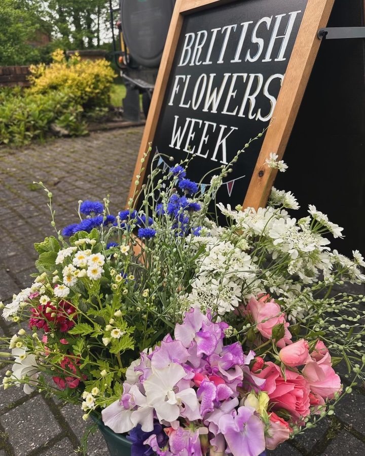  British Flowers Week buckets (June 2025)