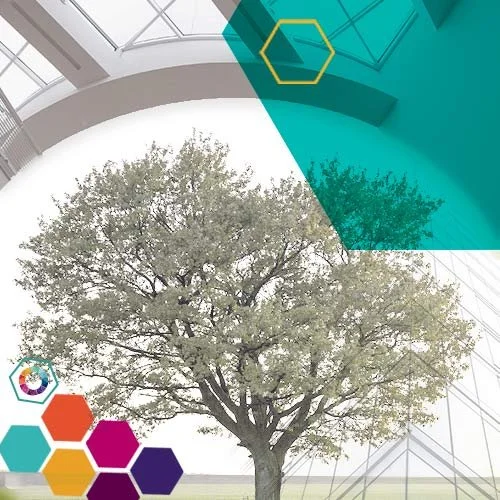 Performance and Wellbeing Icon