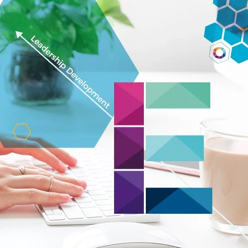 E Icons- Leadership Coaching 